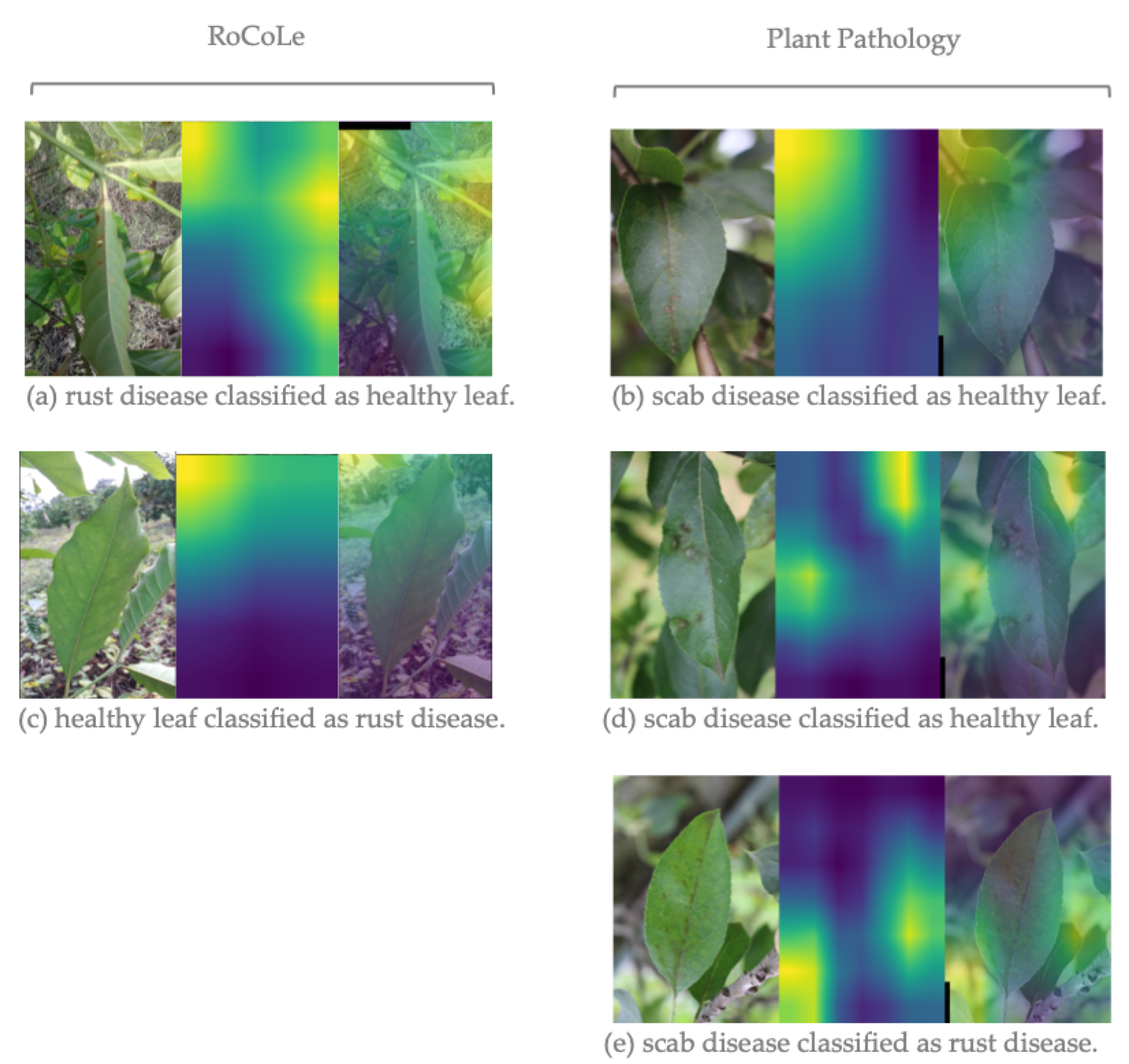 Agronomy 12 02359 g004 Agronomy 12 02359 g004