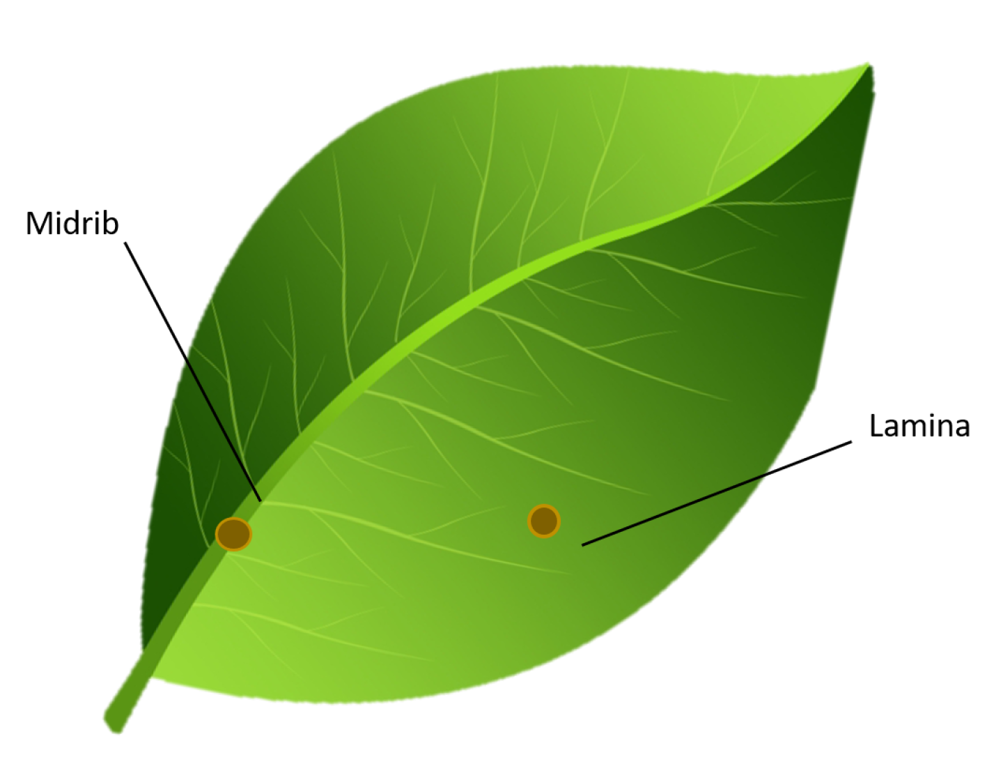 Agronomy 12 02359 g006 Agronomy 12 02359 g006