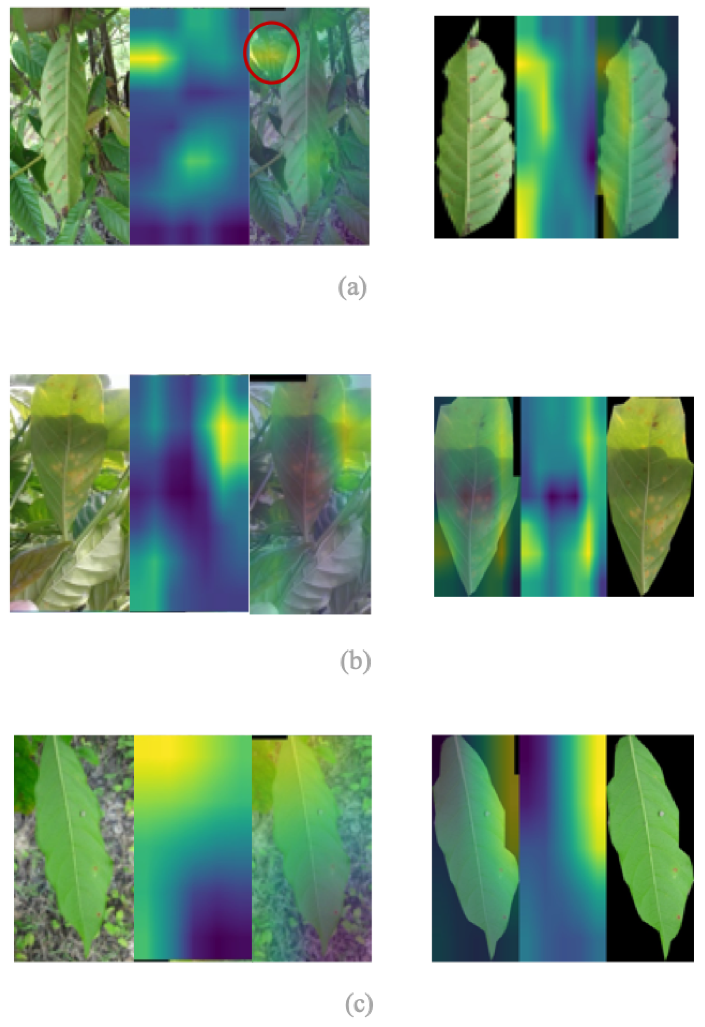 Agronomy 12 02359 g009 Agronomy 12 02359 g009