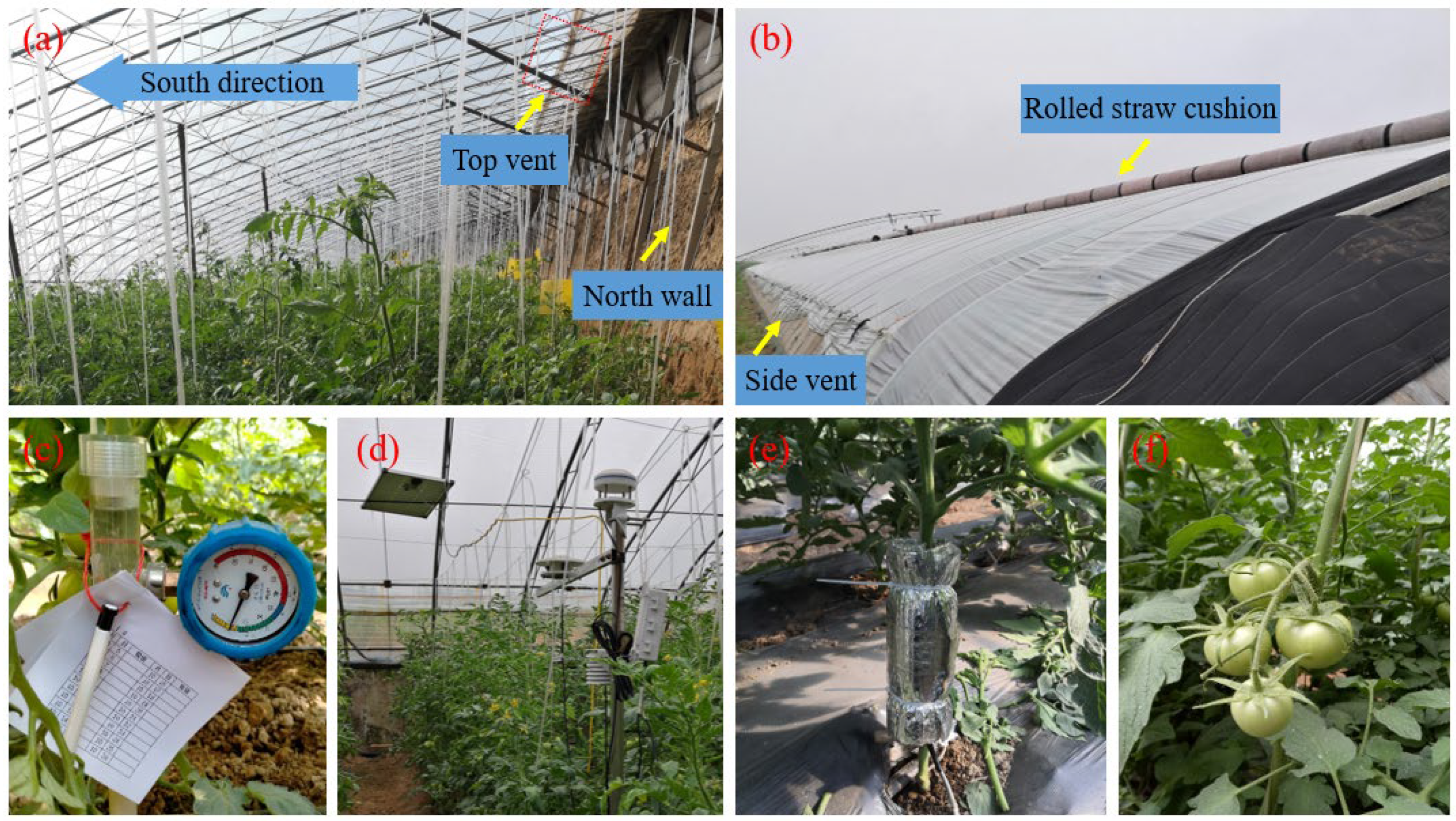 Agronomy | Free Full-Text | Estimating Tomato Transpiration 