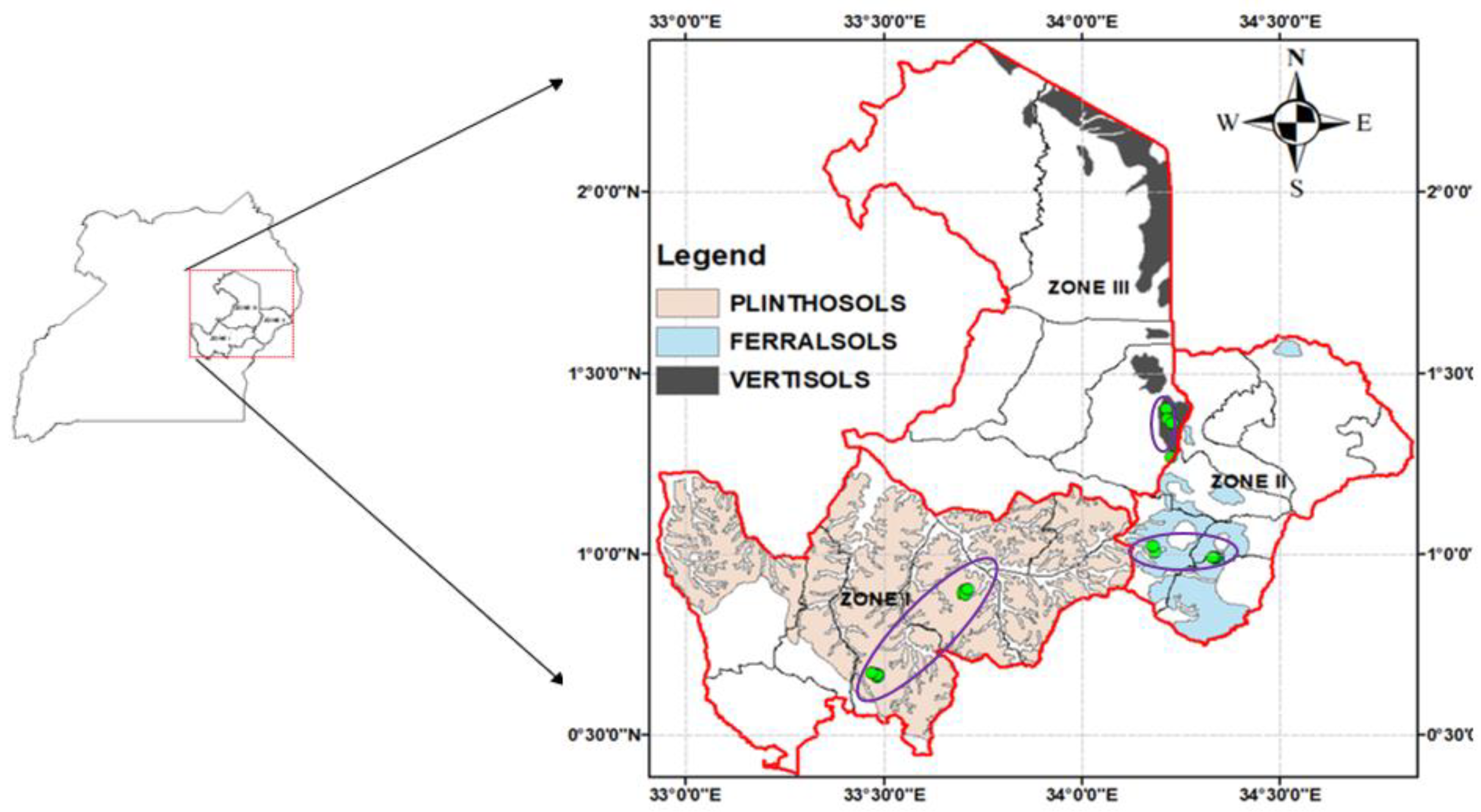 Agronomy 12 02383 g001