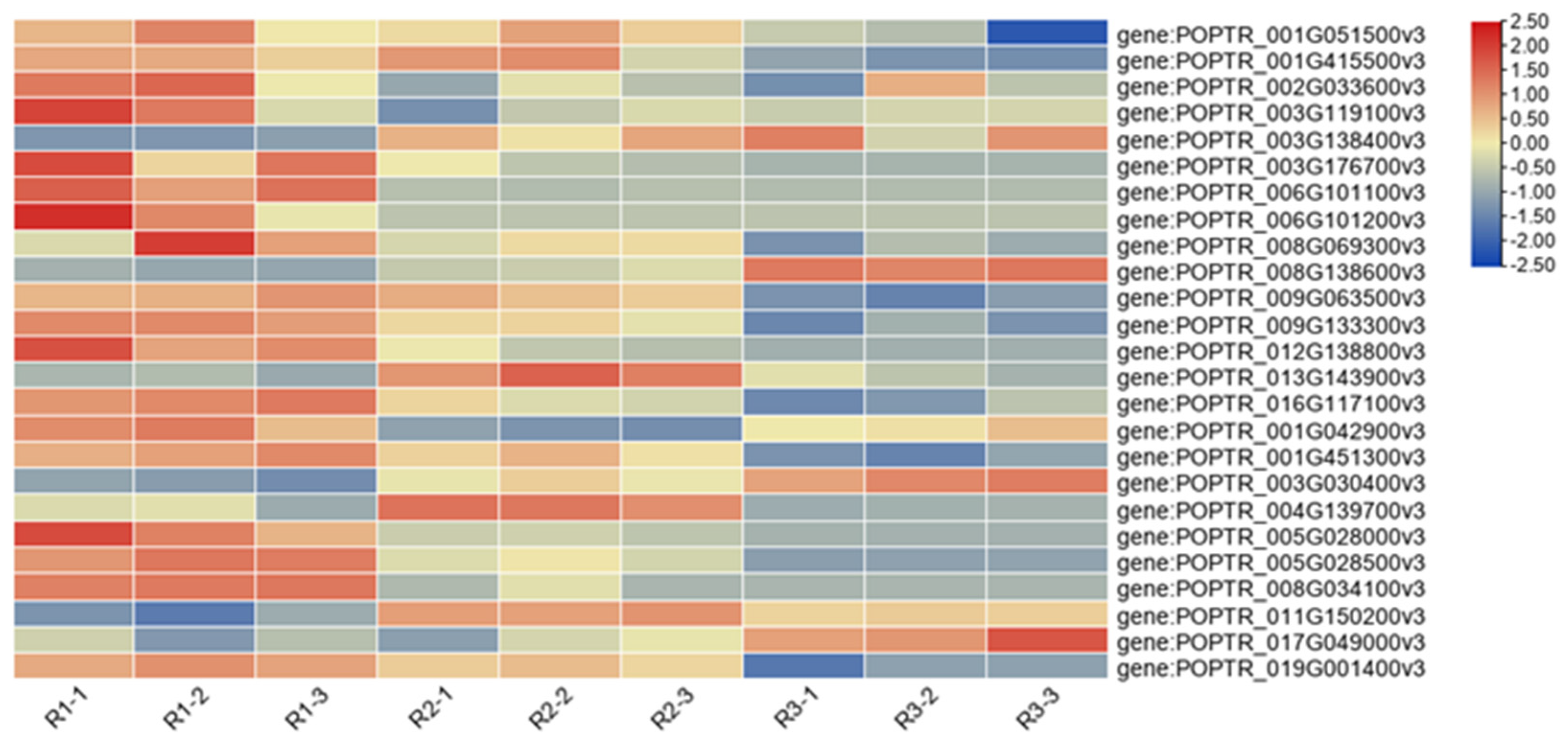Agronomy 12 02396 g004