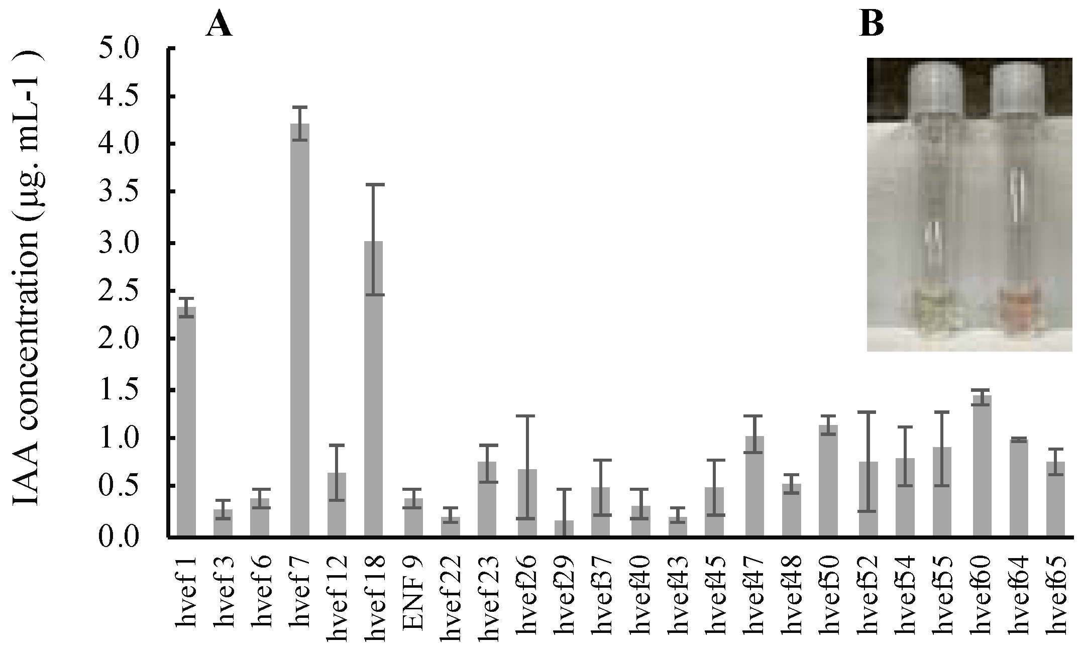 Agronomy 12 02417 g005 Agronomy 12 02417 g005