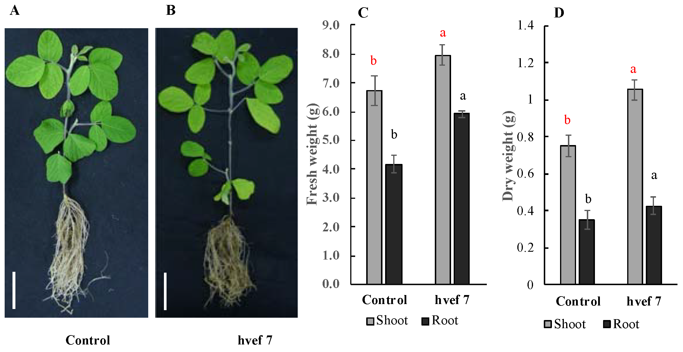 Agronomy 12 02417 g006 Agronomy 12 02417 g006
