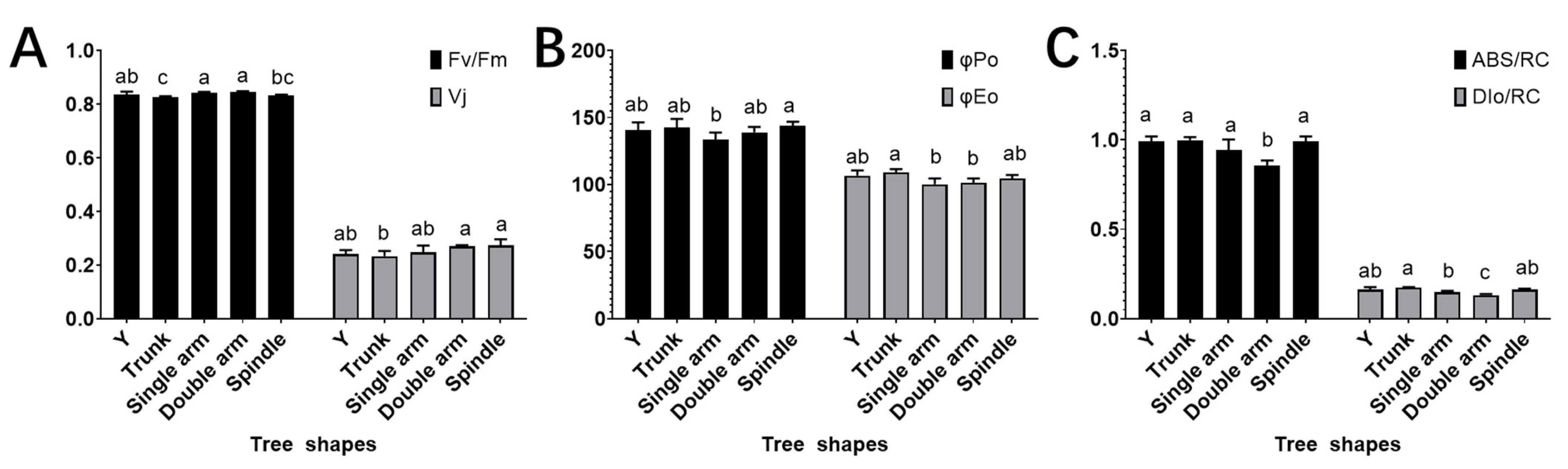 Agronomy 12 02440 g004 Agronomy 12 02440 g004