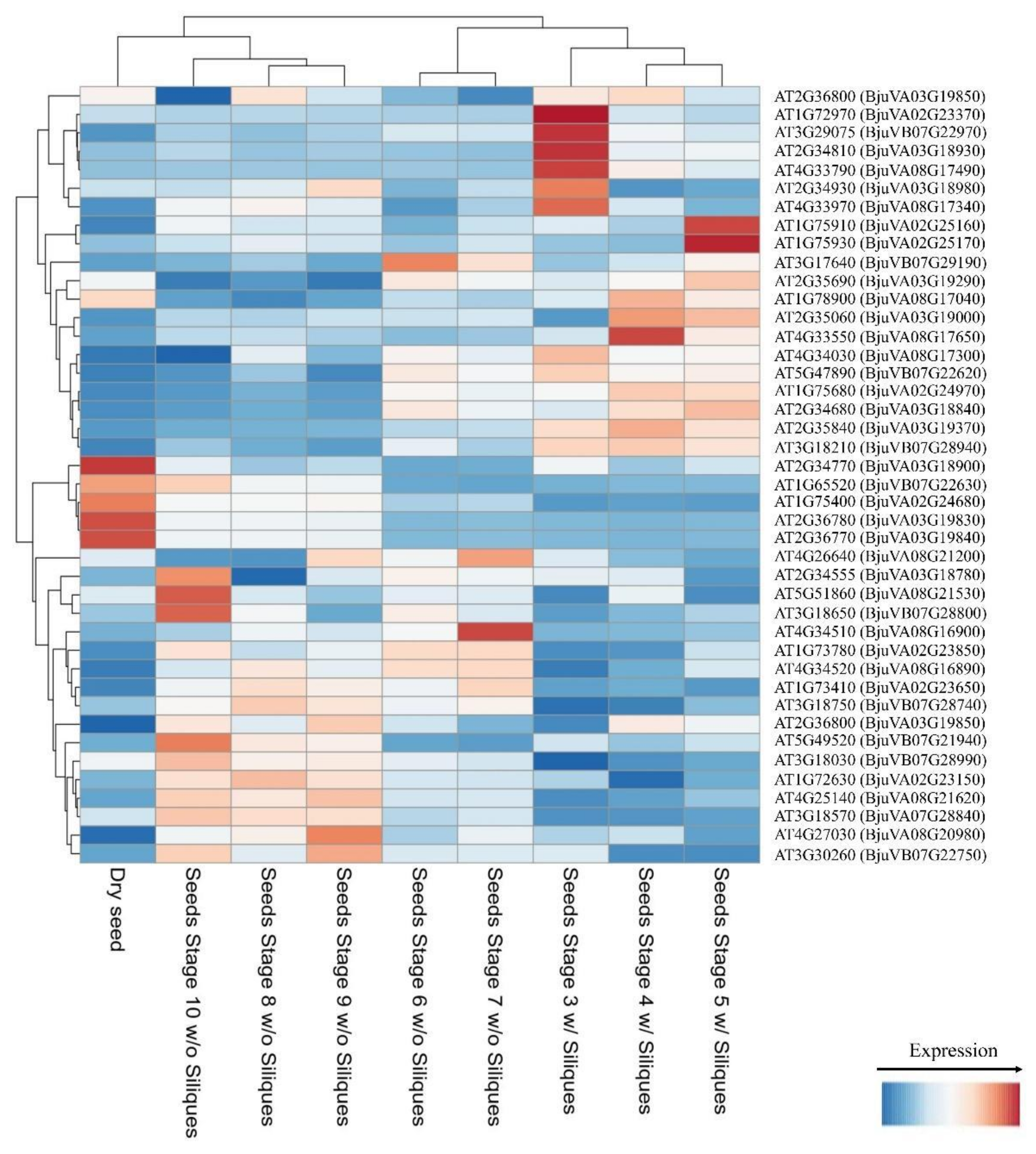 Agronomy 12 02442 g007 Agronomy 12 02442 g007