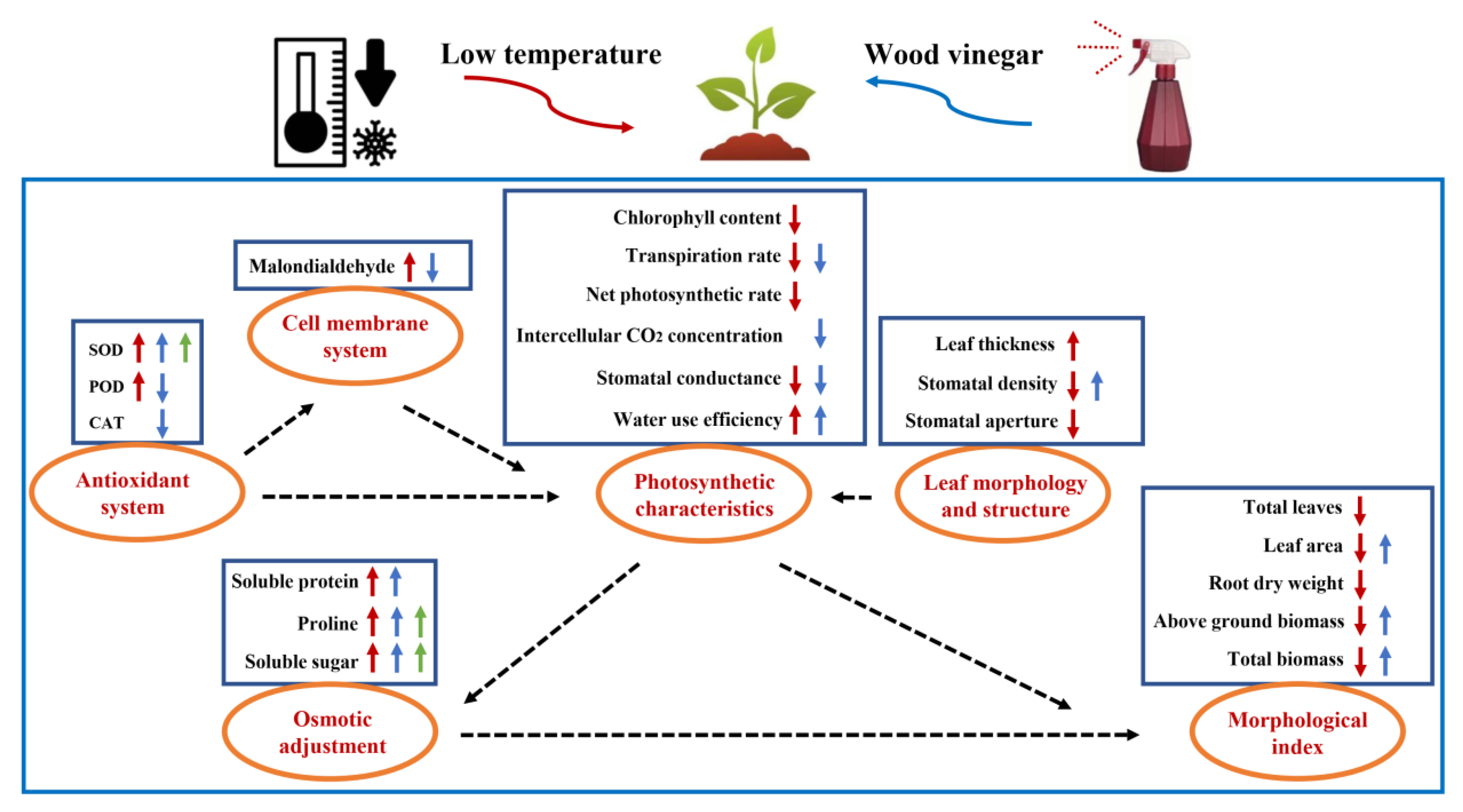 Agronomy 12 02453 g005 Agronomy 12 02453 g005