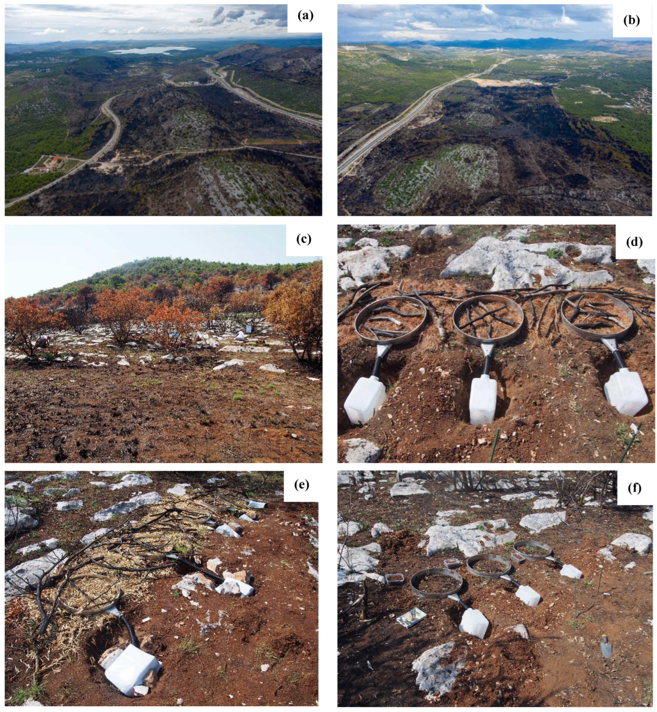 Agronomy 12 02484 g002