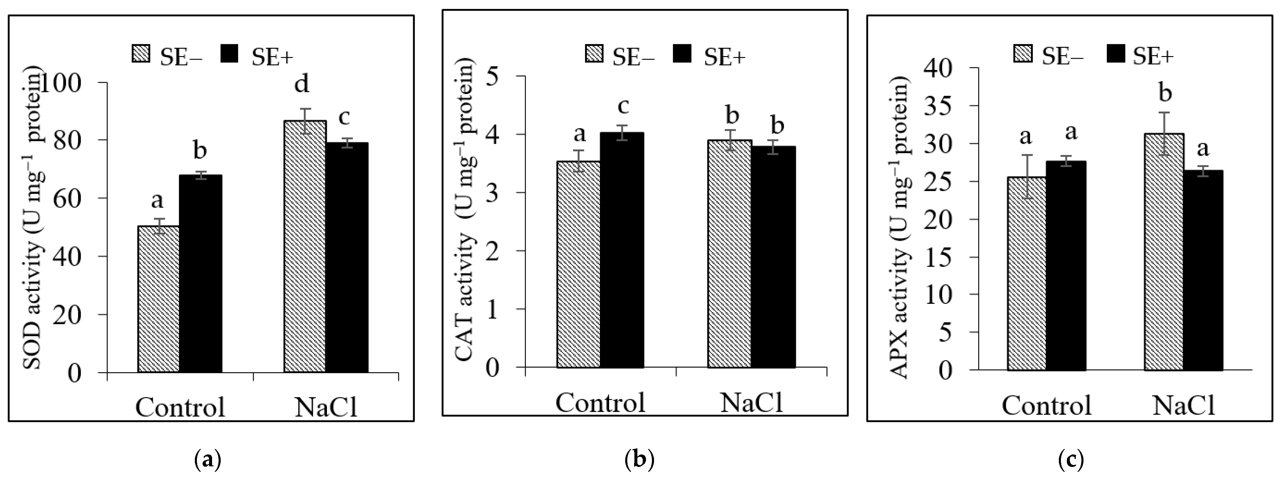 Agronomy 12 02495 g003 Agronomy 12 02495 g003