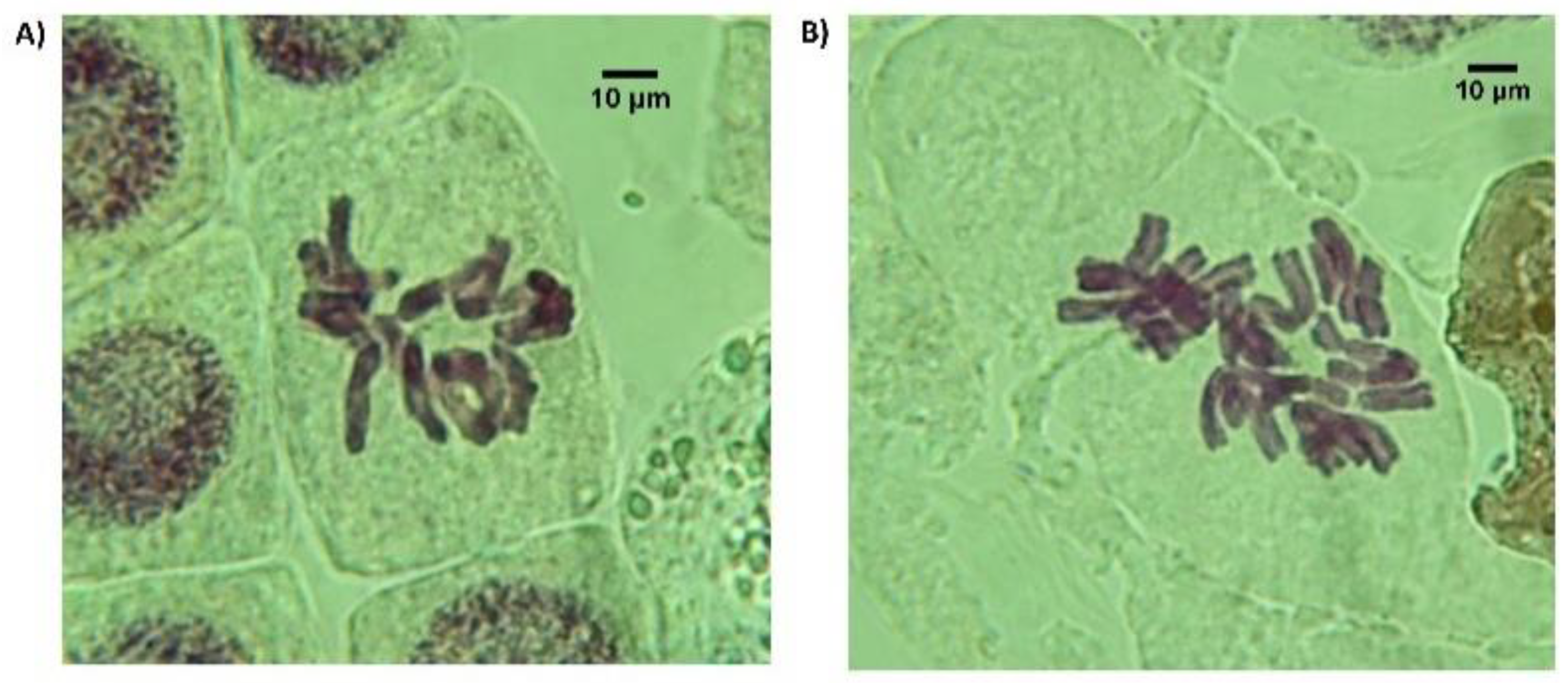 Agronomy 12 02520 g002