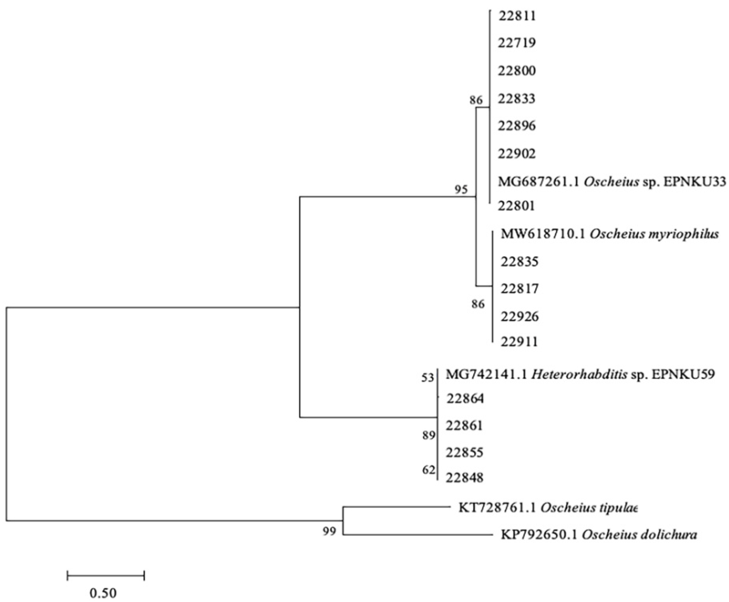 Agronomy 12 02536 g002