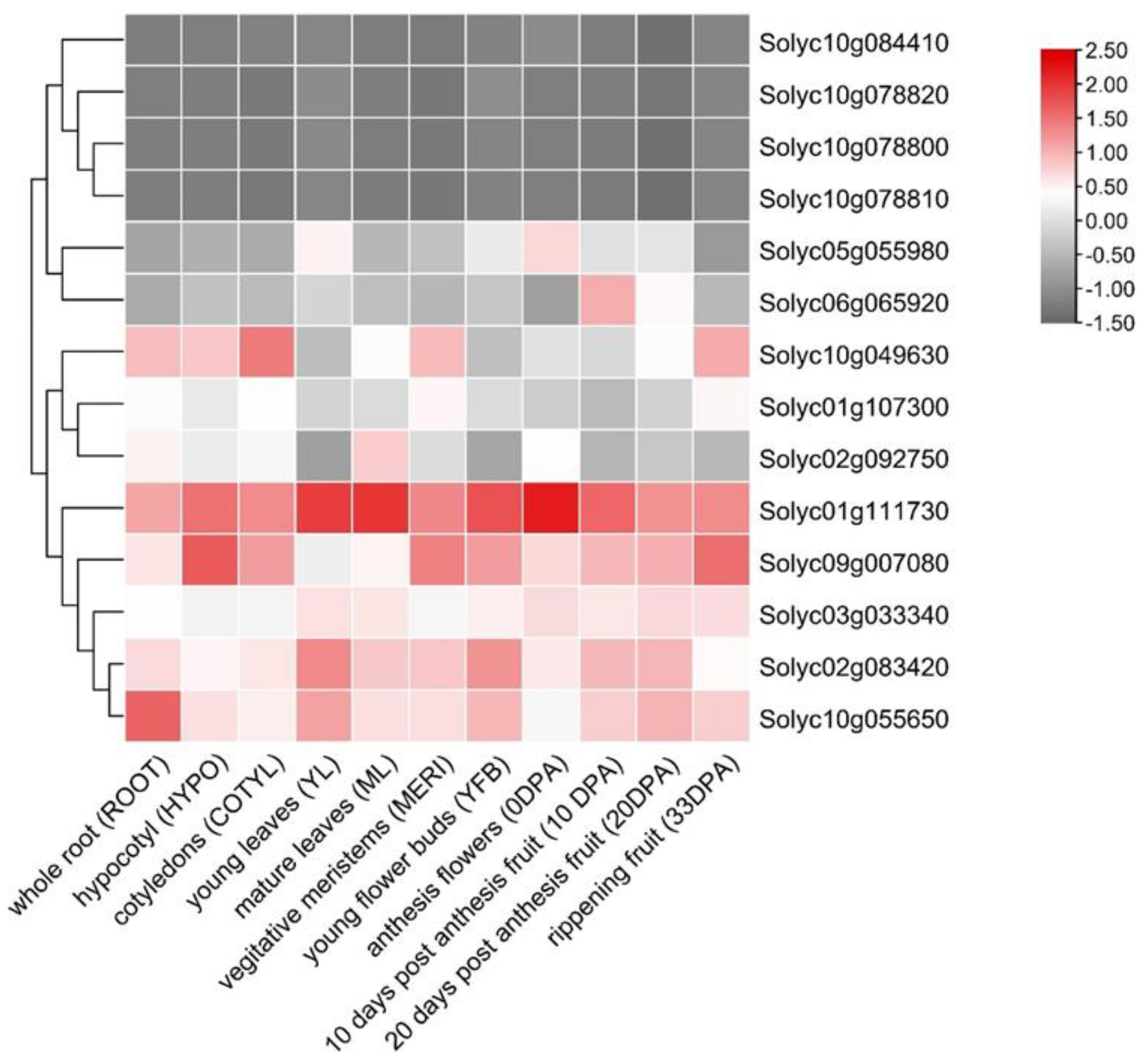 Agronomy 12 02542 g003