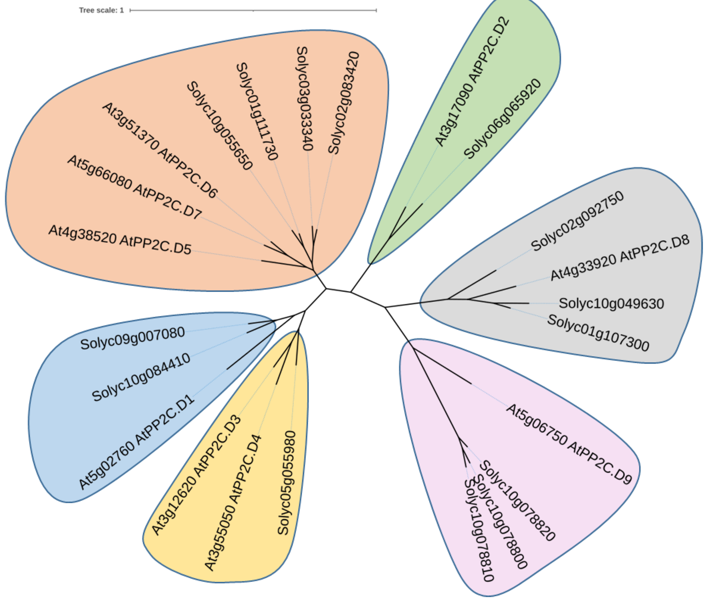 Agronomy 12 02542 g004
