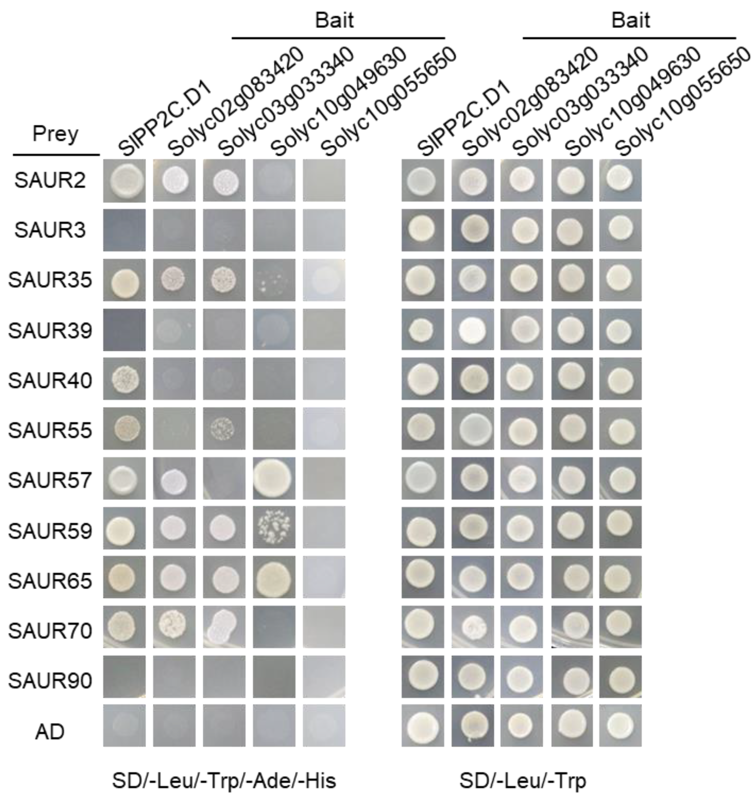 Agronomy 12 02542 g006