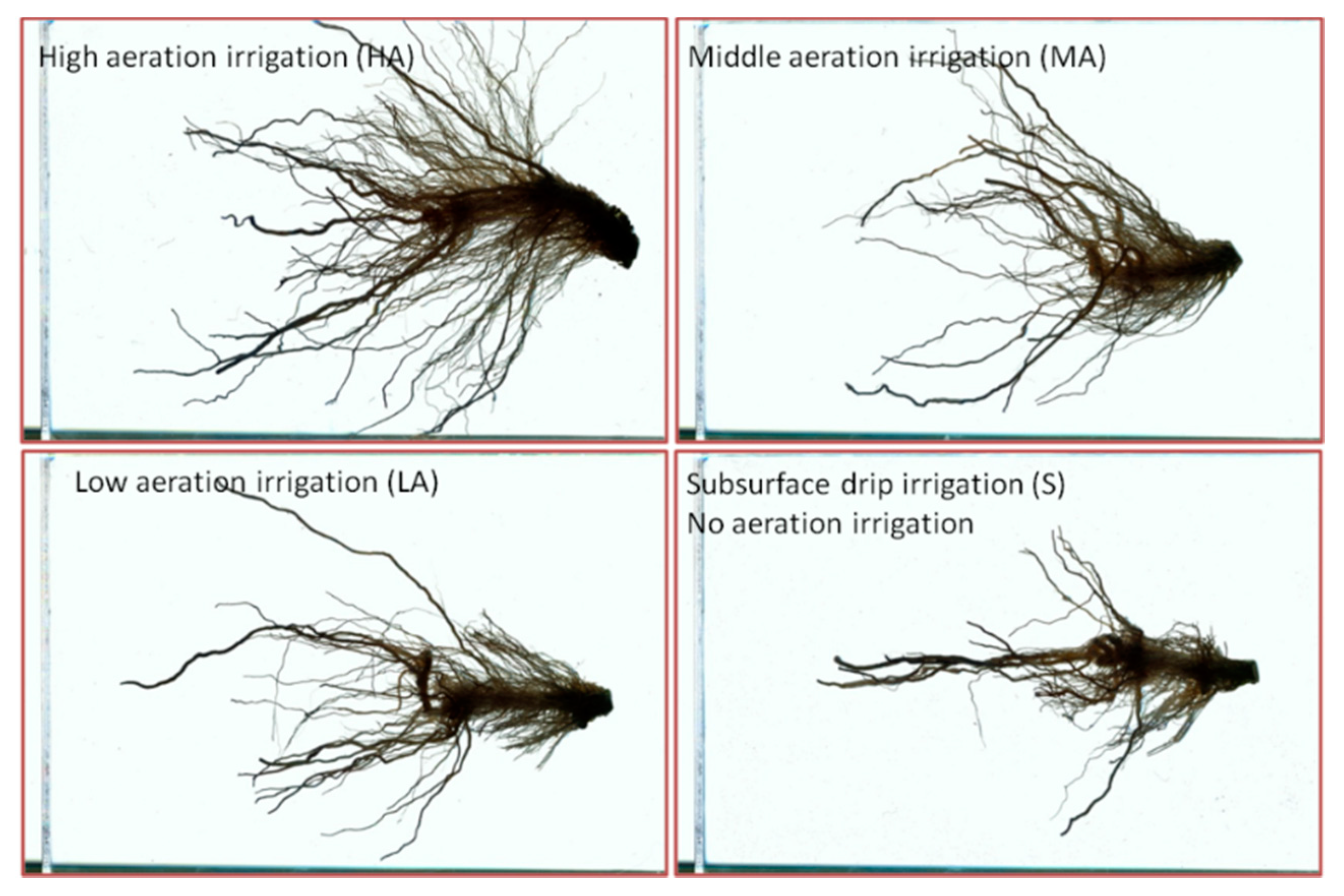 Agronomy 12 02609 g002 Agronomy 12 02609 g002