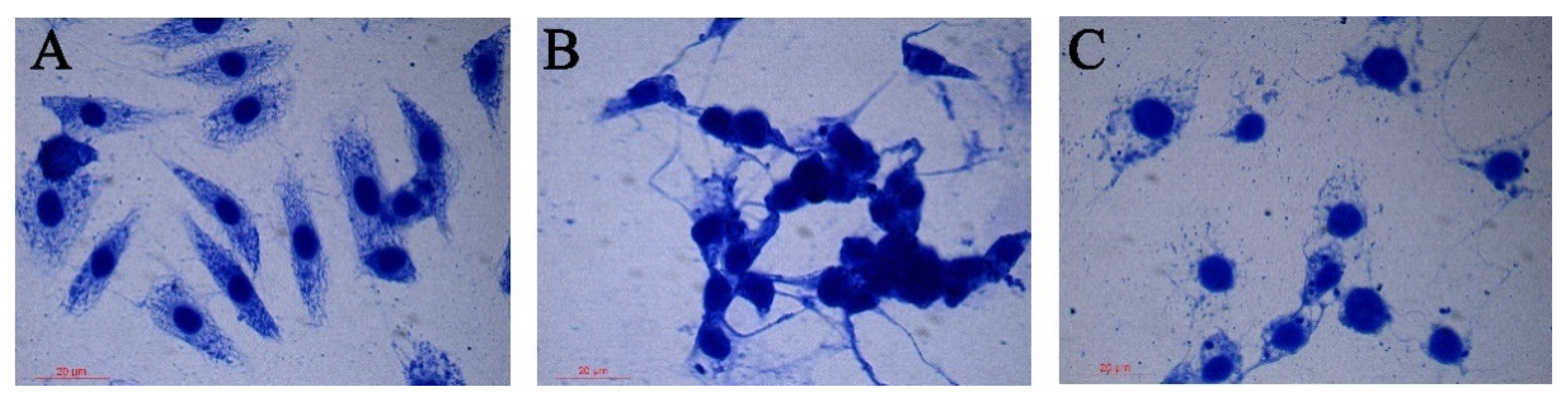 Agronomy 12 02611 g004