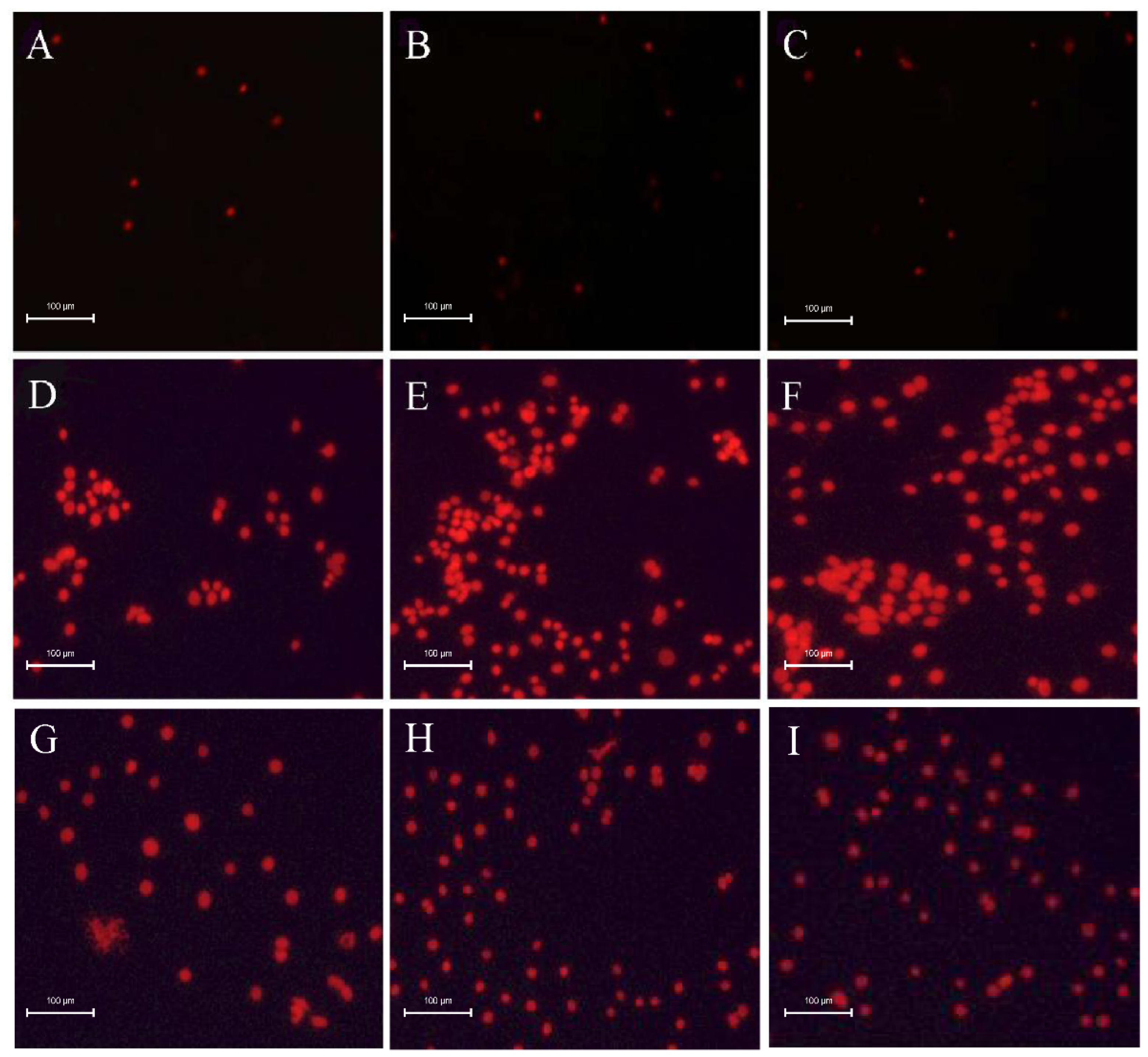 Agronomy 12 02611 g006