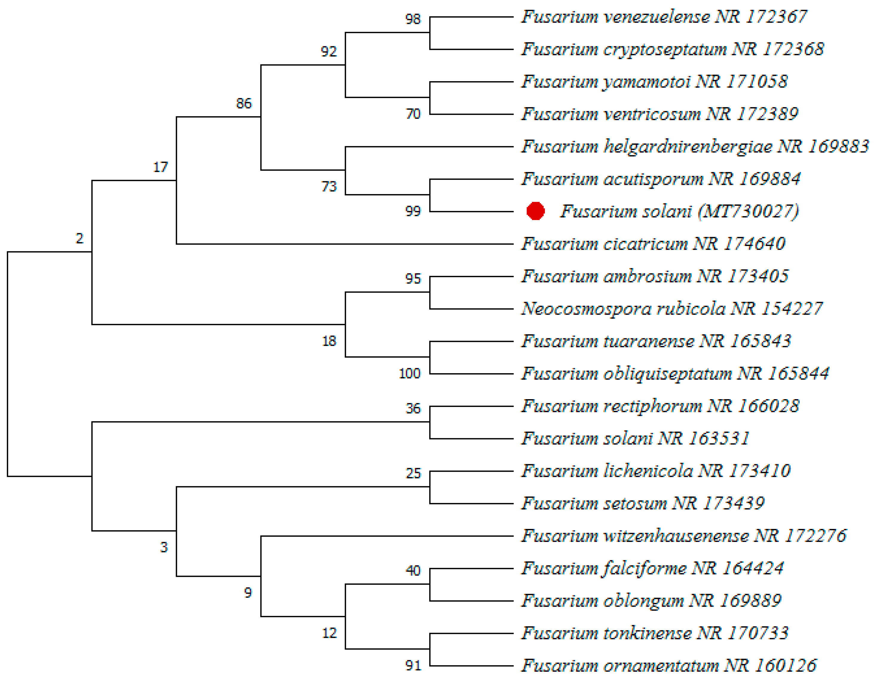 Agronomy 12 02612 g002 Agronomy 12 02612 g002