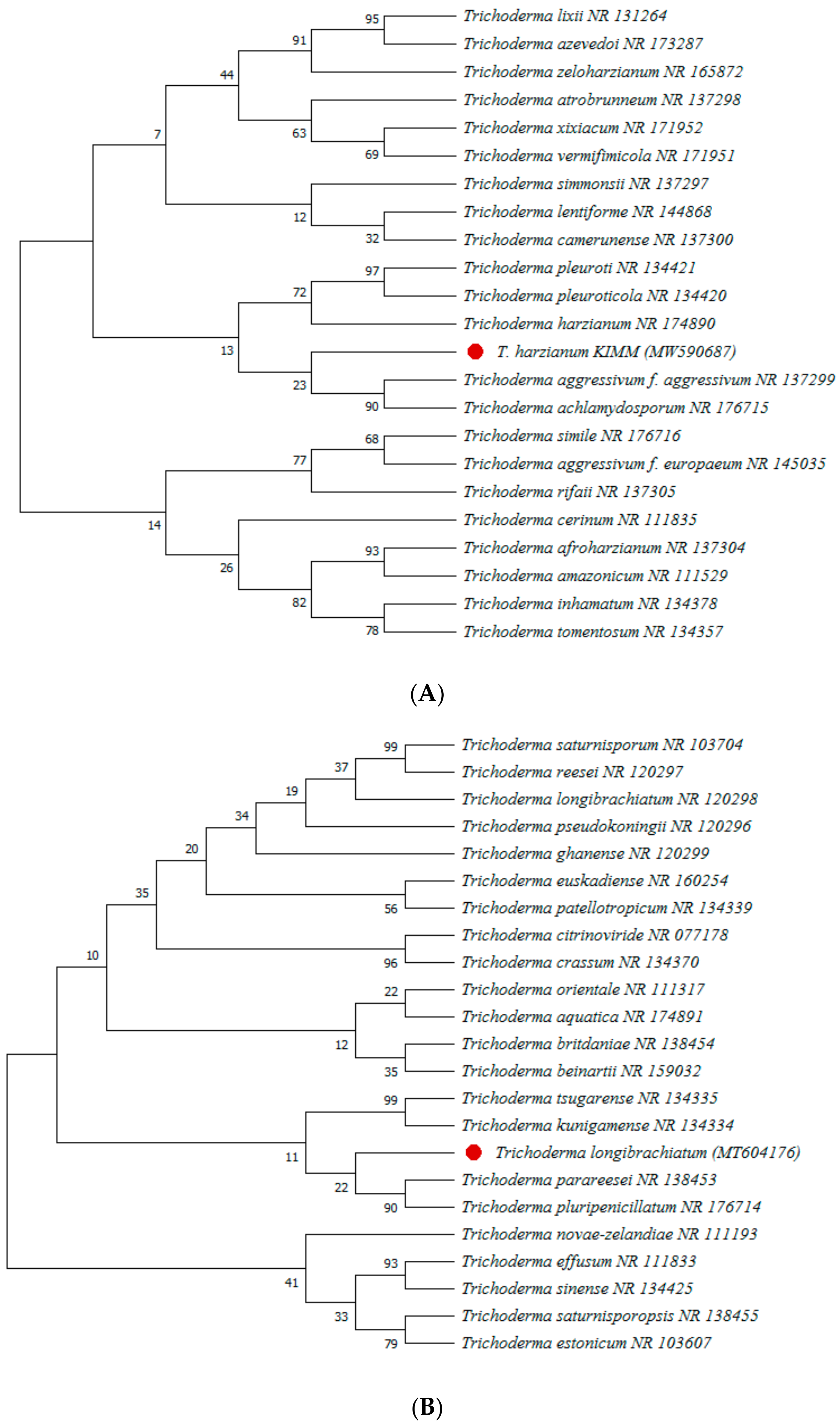 Agronomy 12 02612 g005a Agronomy 12 02612 g005a