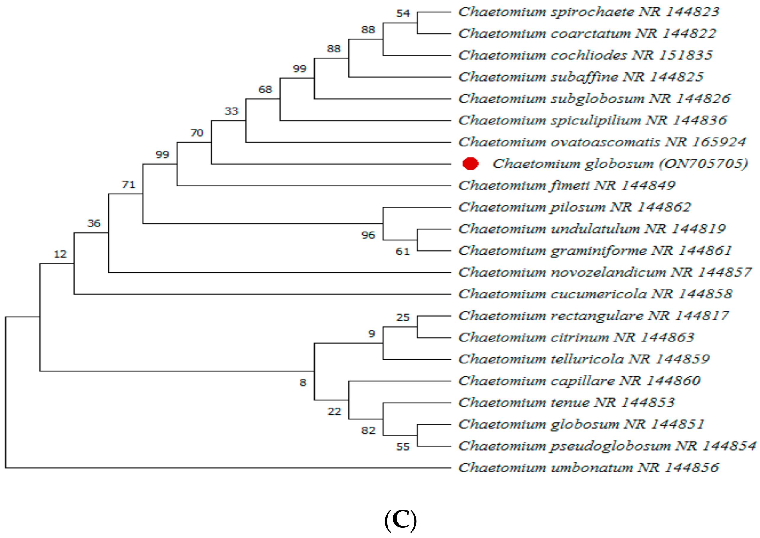 Agronomy 12 02612 g005b Agronomy 12 02612 g005b