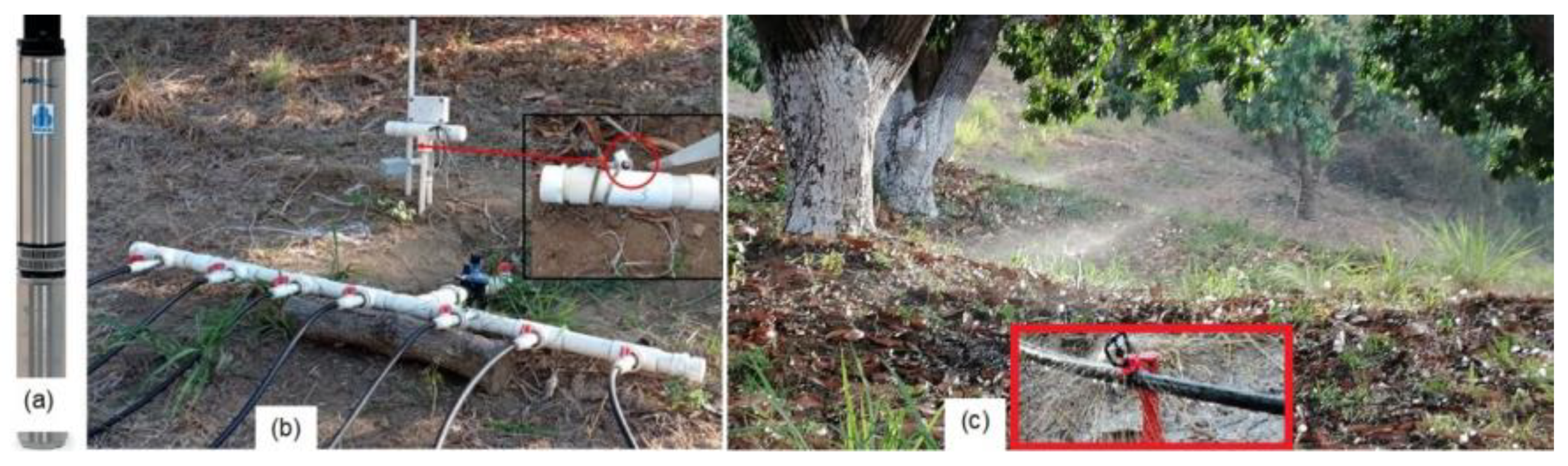 Agronomy 12 02623 g003 Agronomy 12 02623 g003