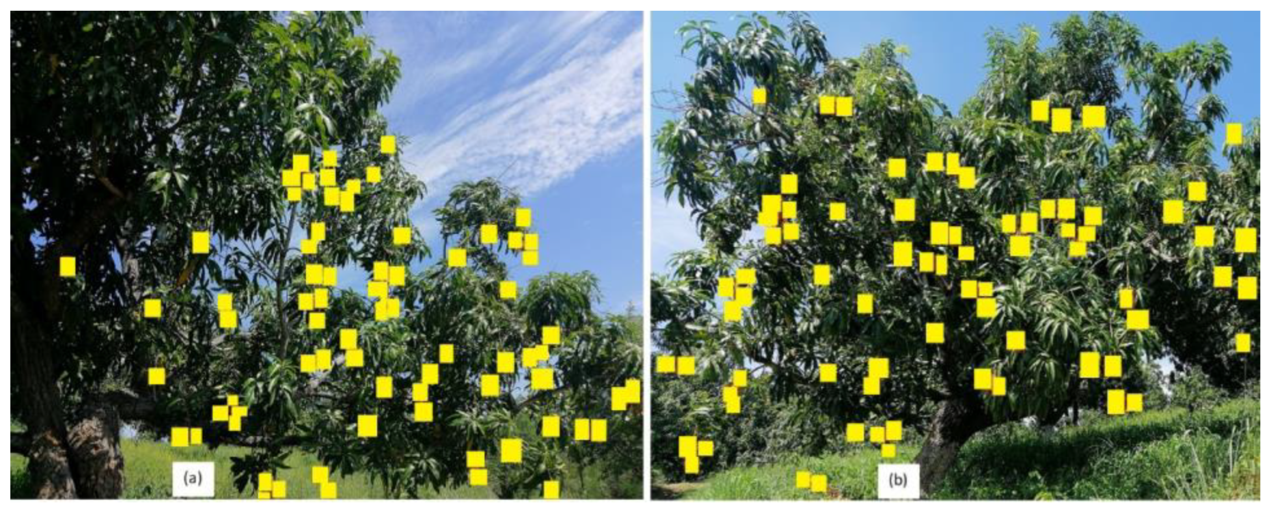 Agronomy 12 02623 g013 Agronomy 12 02623 g013