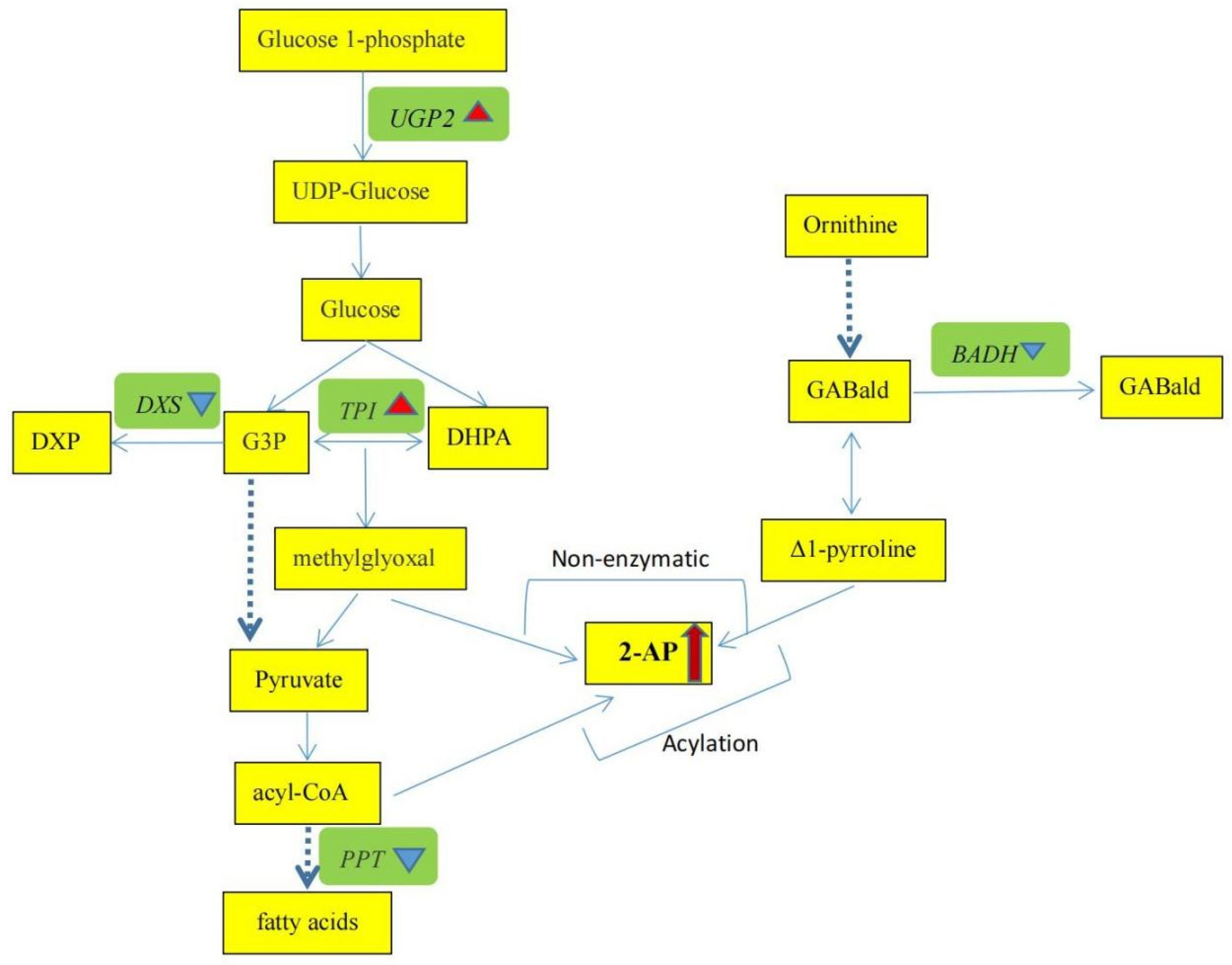 Agronomy 12 02641 g003 Agronomy 12 02641 g003