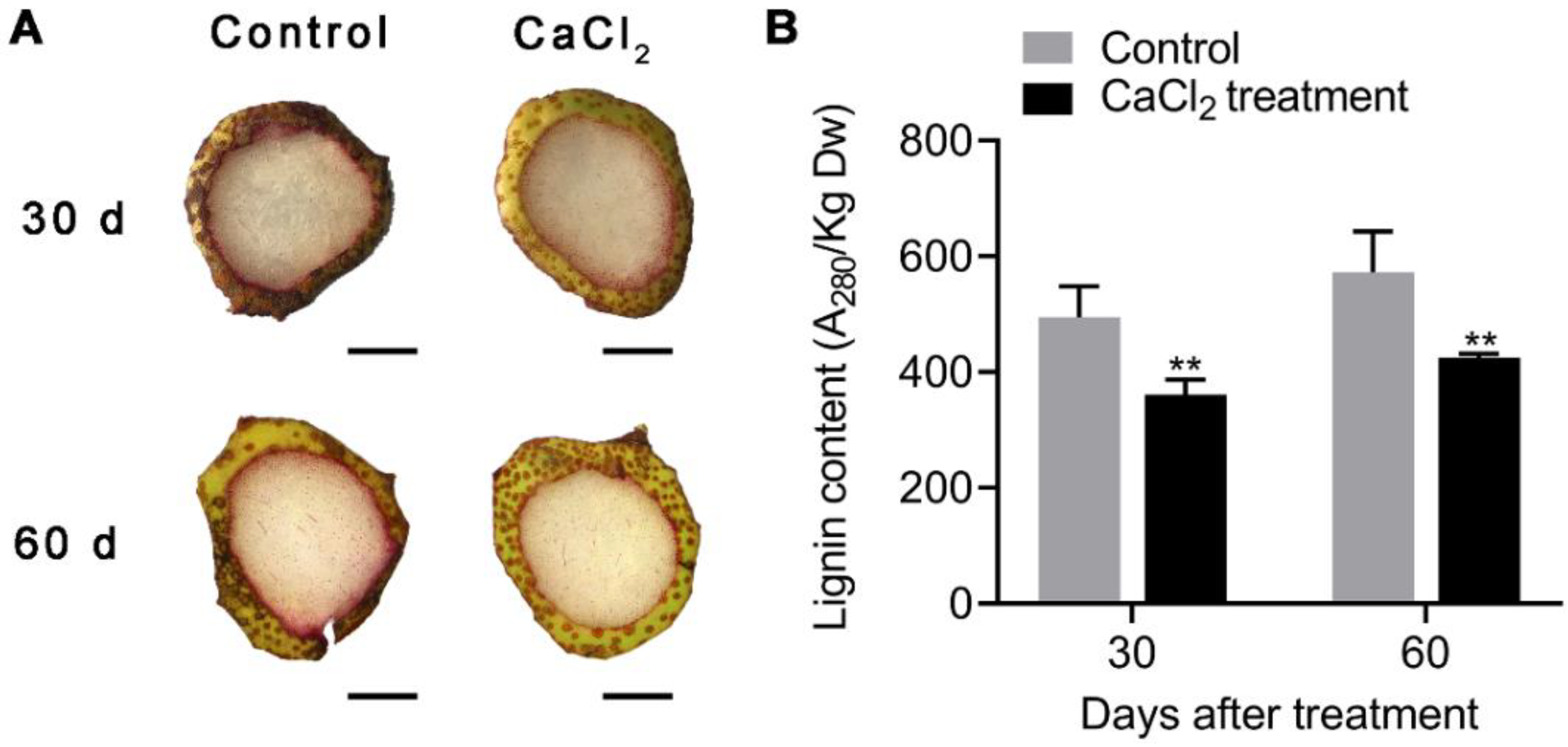 Agronomy 12 02650 g002 Agronomy 12 02650 g002