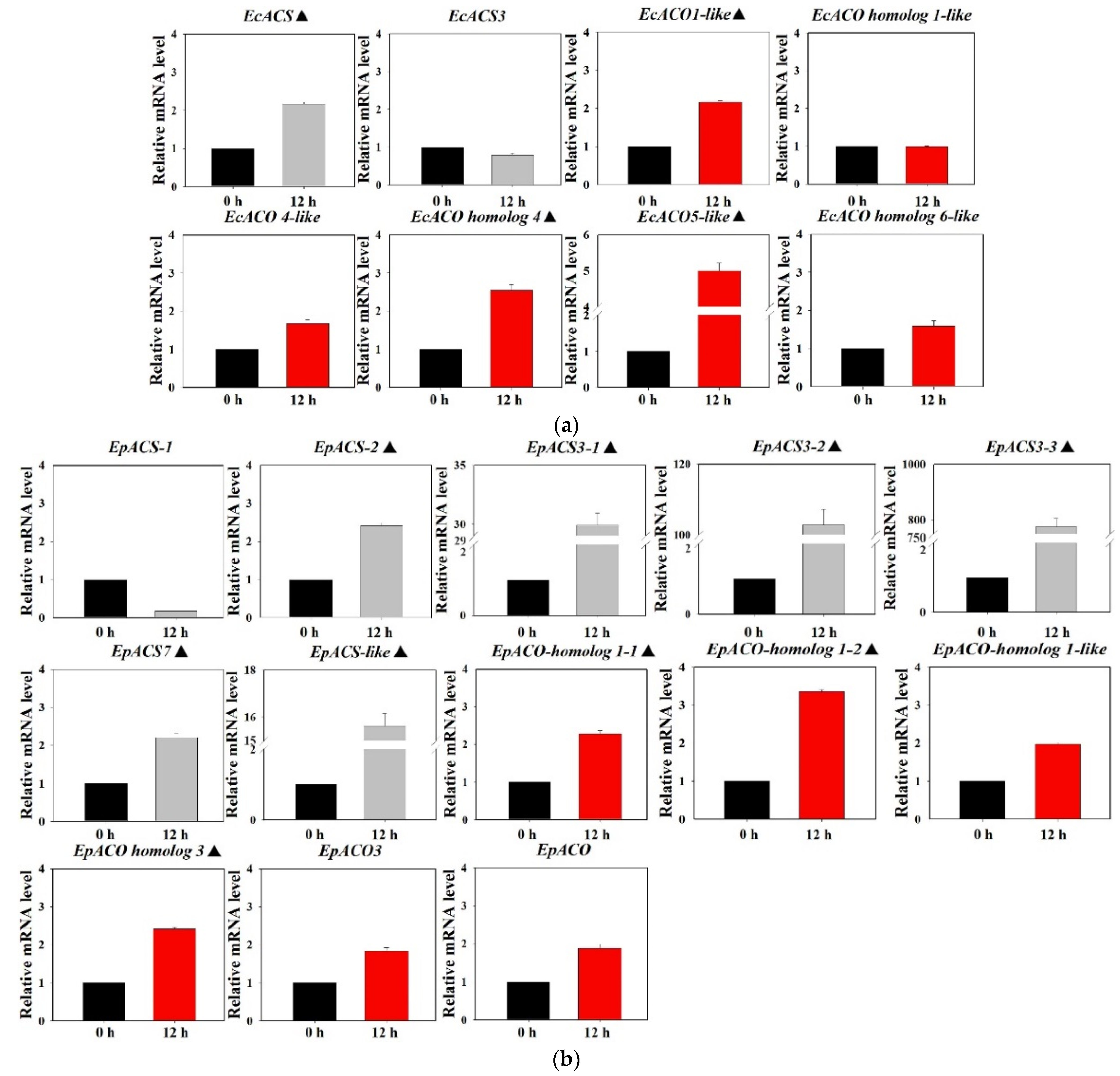 Agronomy 12 02656 g005