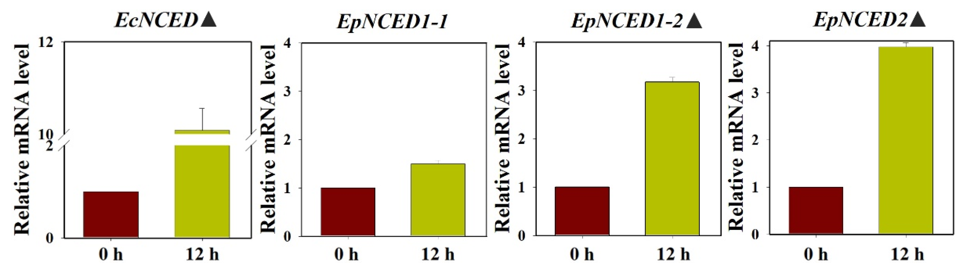 Agronomy 12 02656 g006