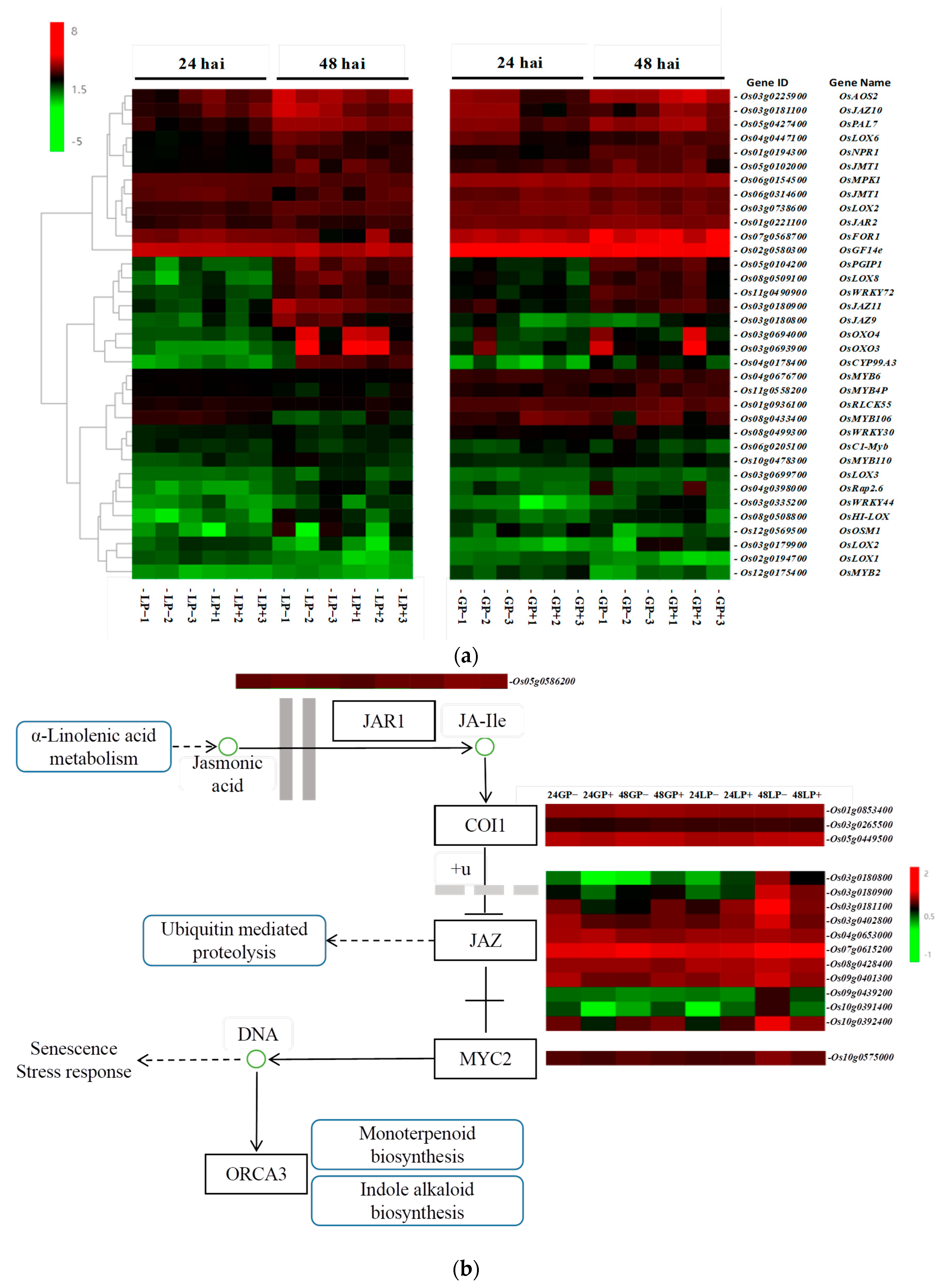 Agronomy 12 02660 g005 Agronomy 12 02660 g005