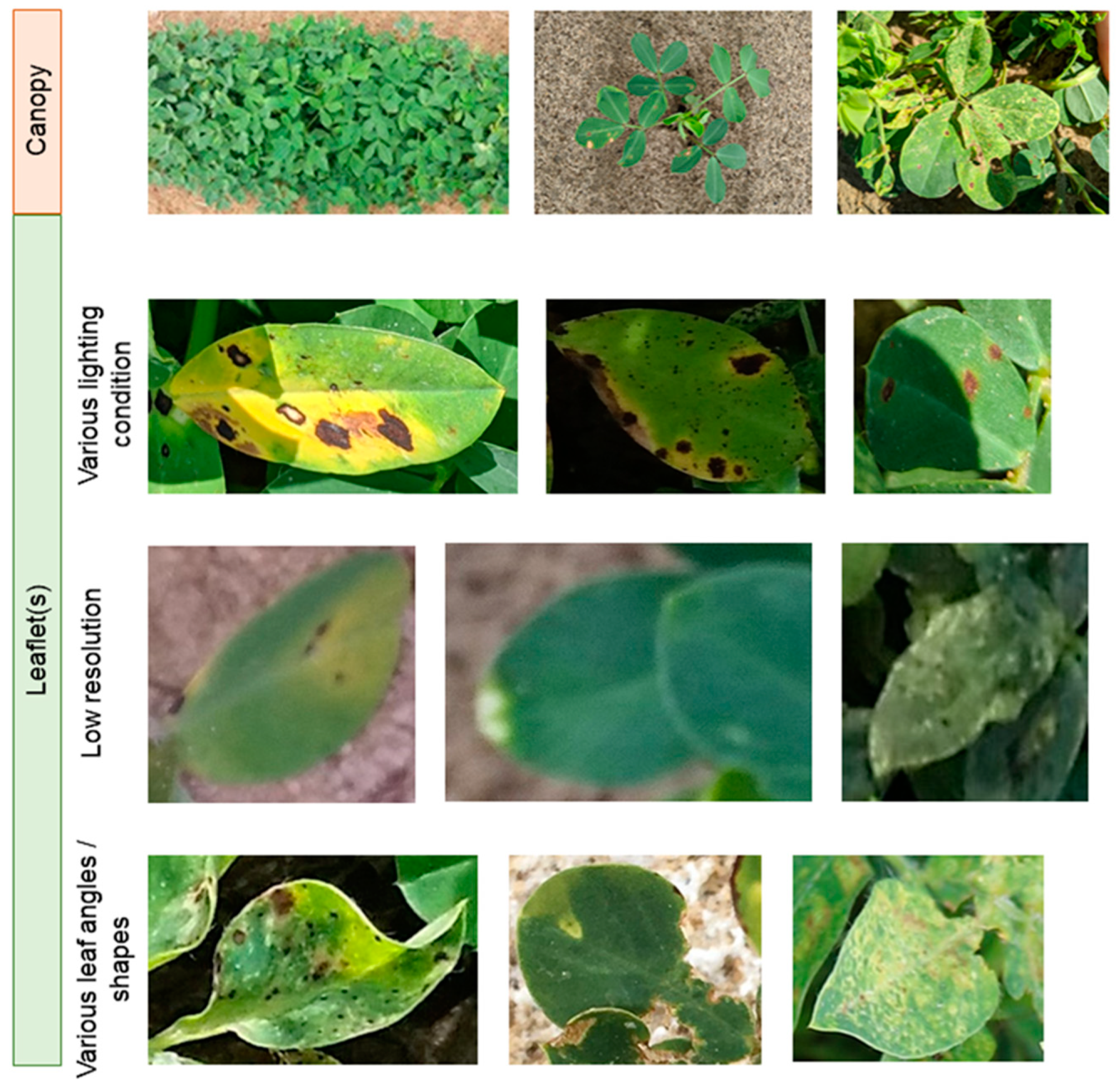Agronomy 12 02712 g001 Agronomy 12 02712 g001