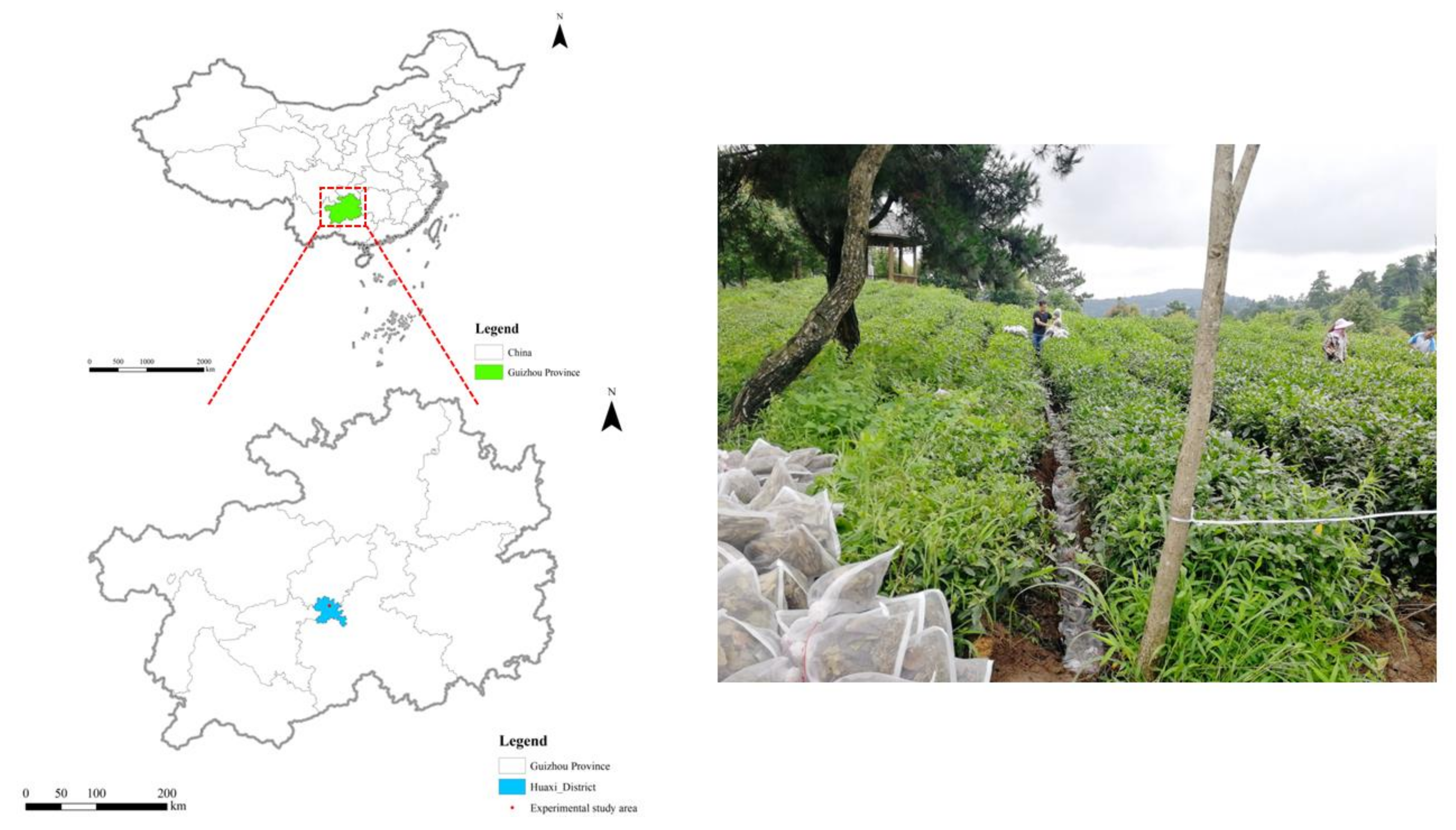Agronomy 12 02717 g001 Agronomy 12 02717 g001