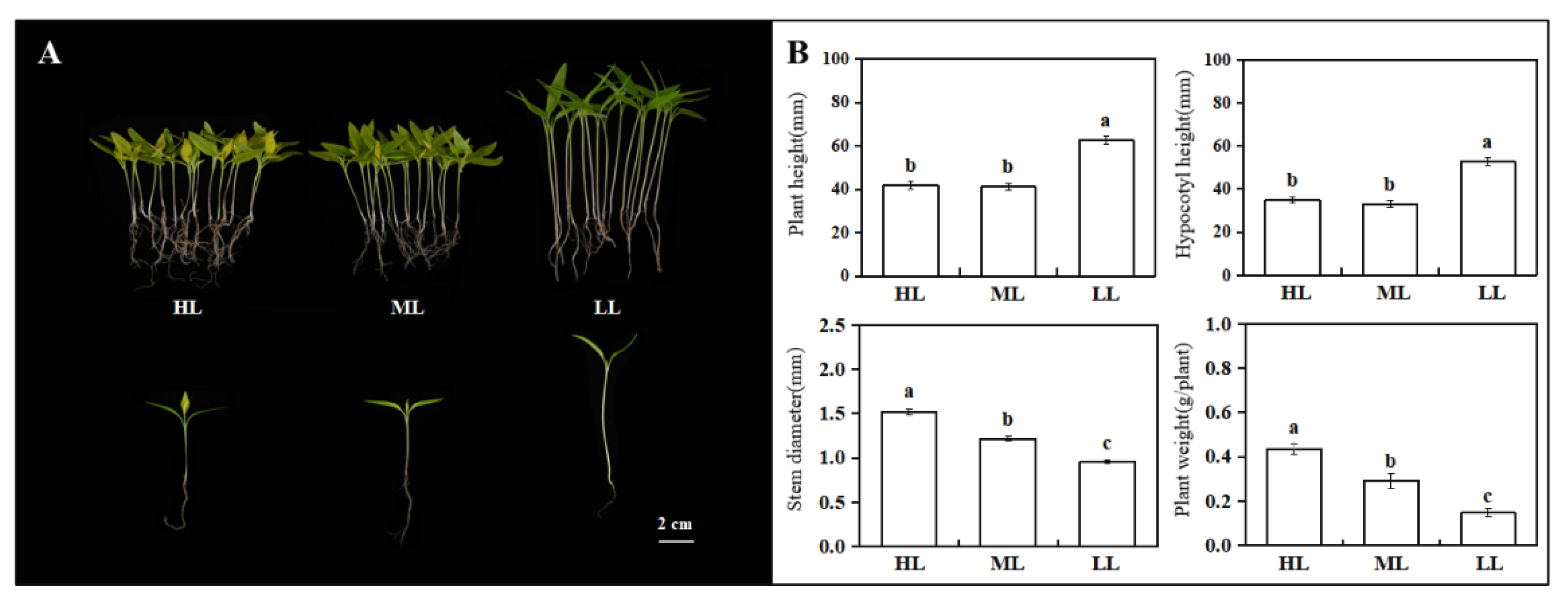 Agronomy 12 02762 g001