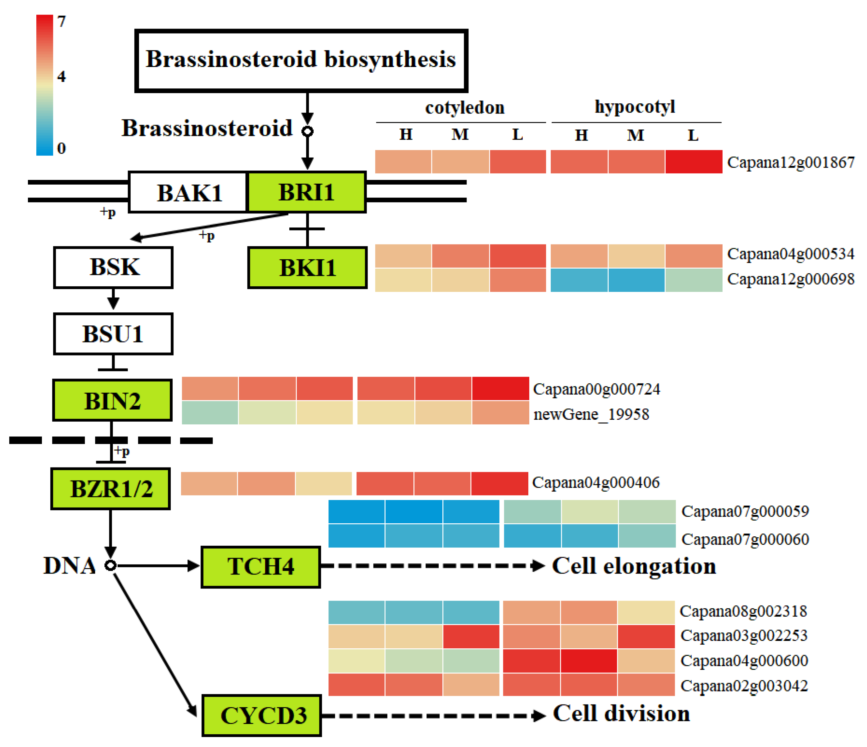 Agronomy 12 02762 g006