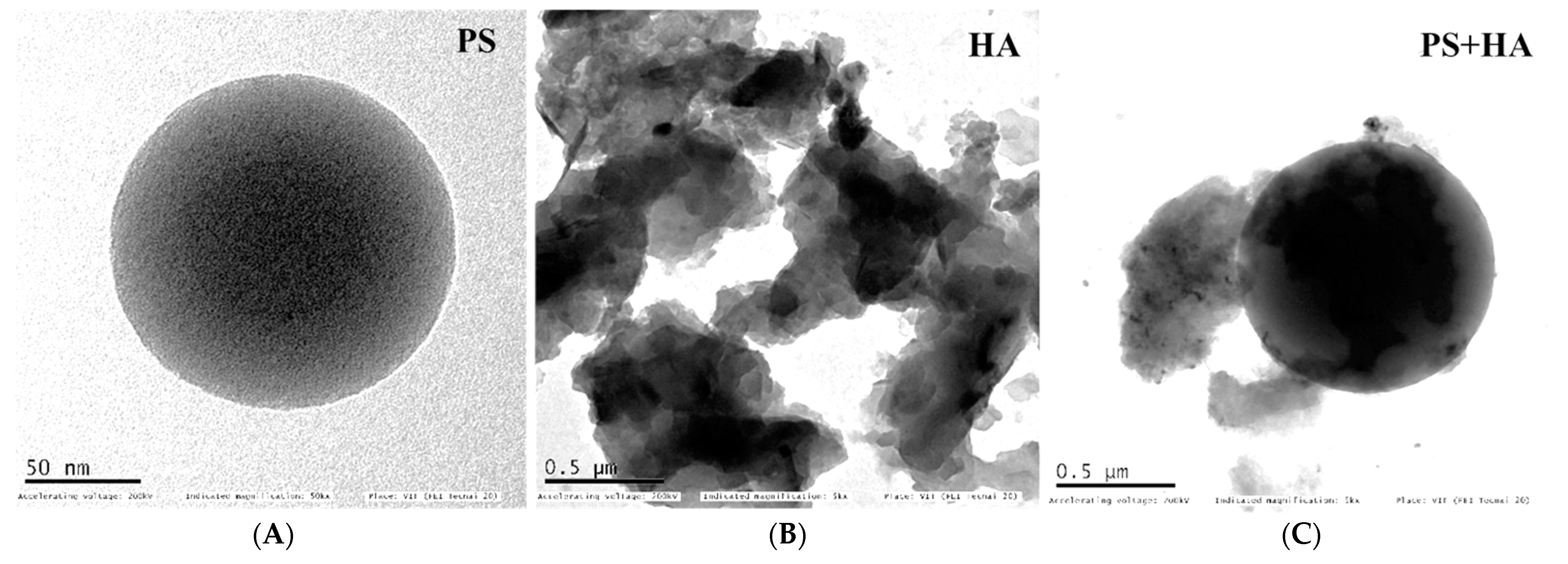 Agronomy 12 02787 g001