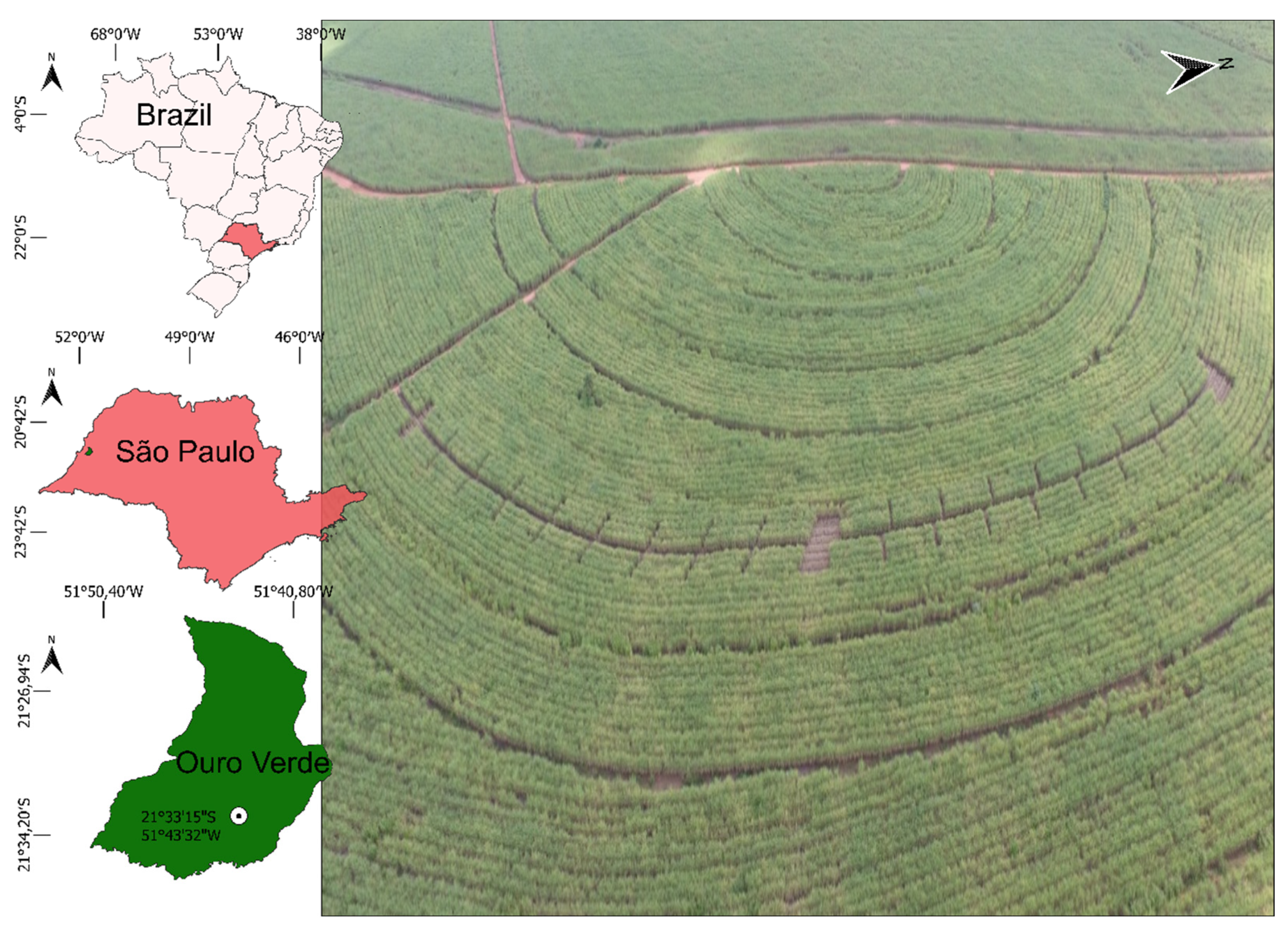 Agronomy 12 02817 g001 Agronomy 12 02817 g001