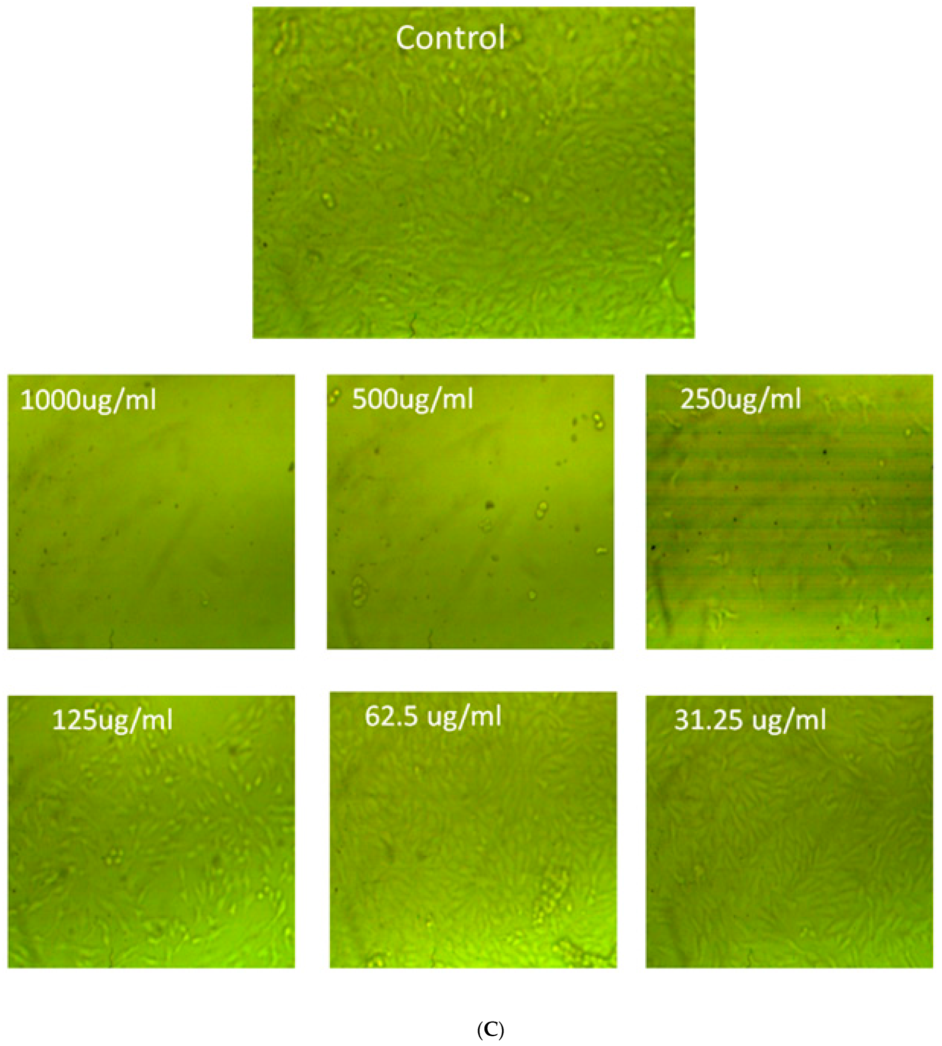 Agronomy 12 02818 g013c Agronomy 12 02818 g013c