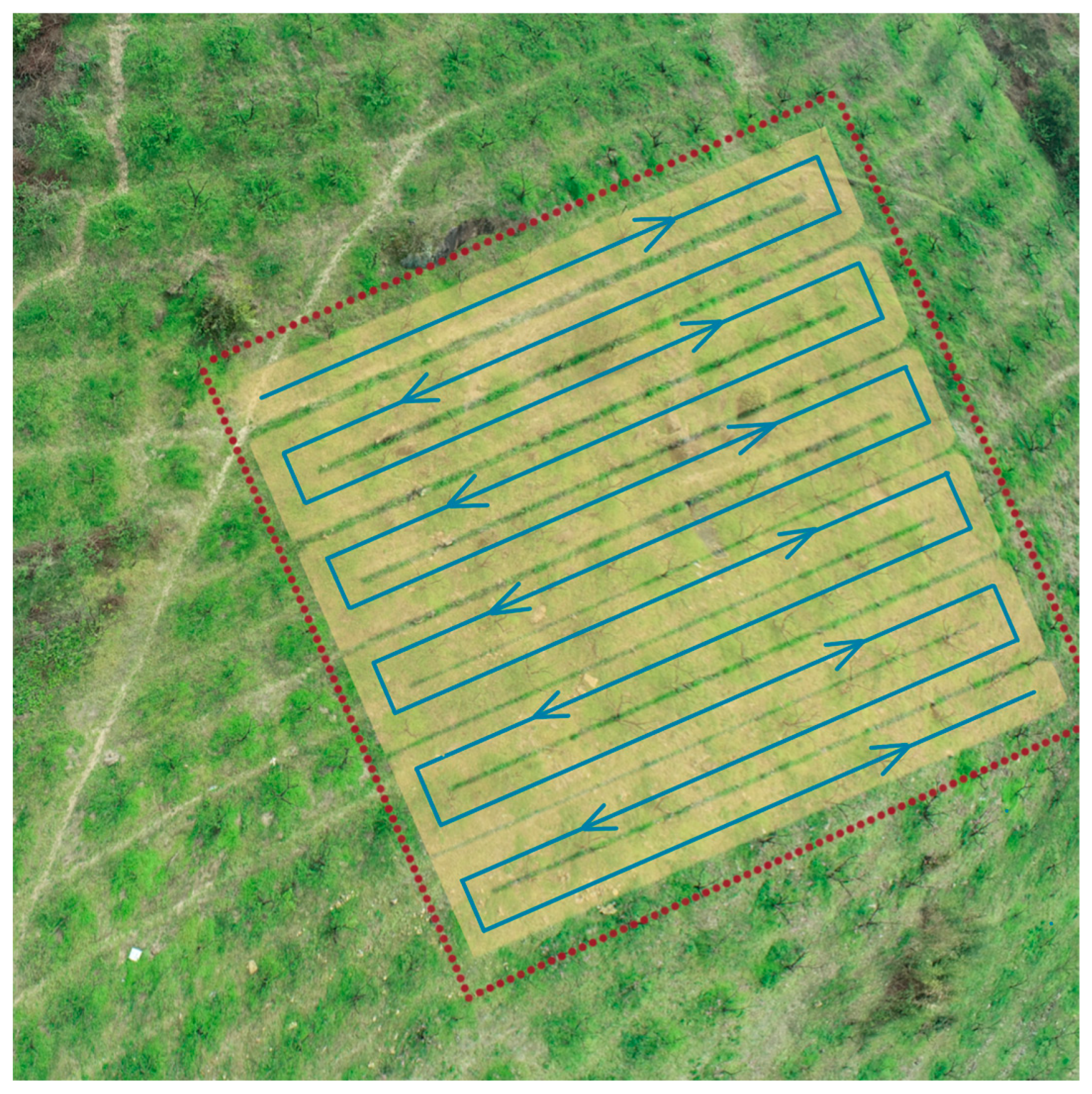 Agronomy 12 02828 g004 Agronomy 12 02828 g004