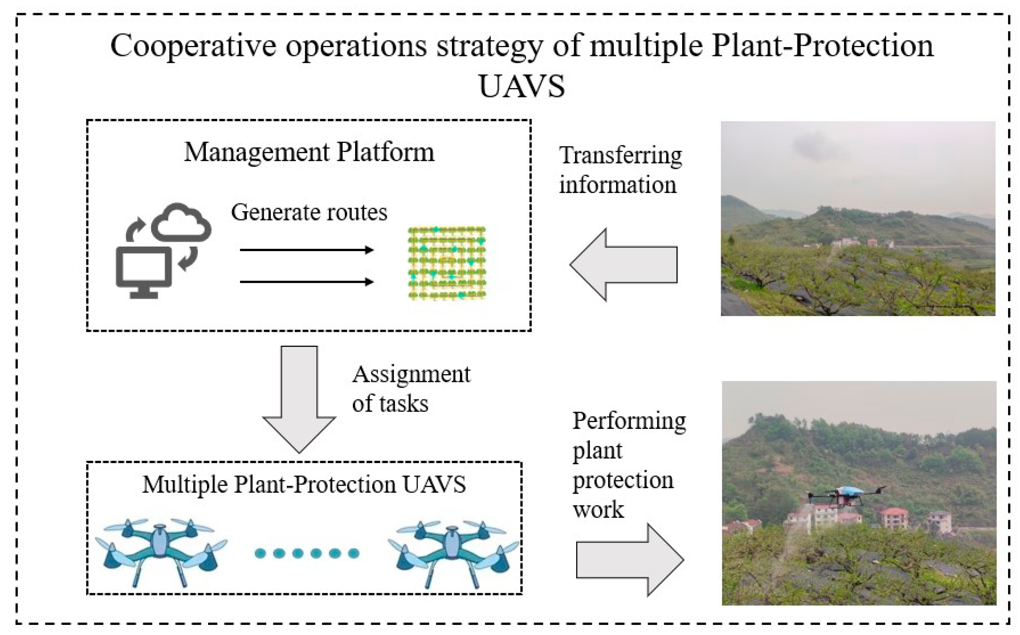 Agronomy 12 02828 g007 Agronomy 12 02828 g007