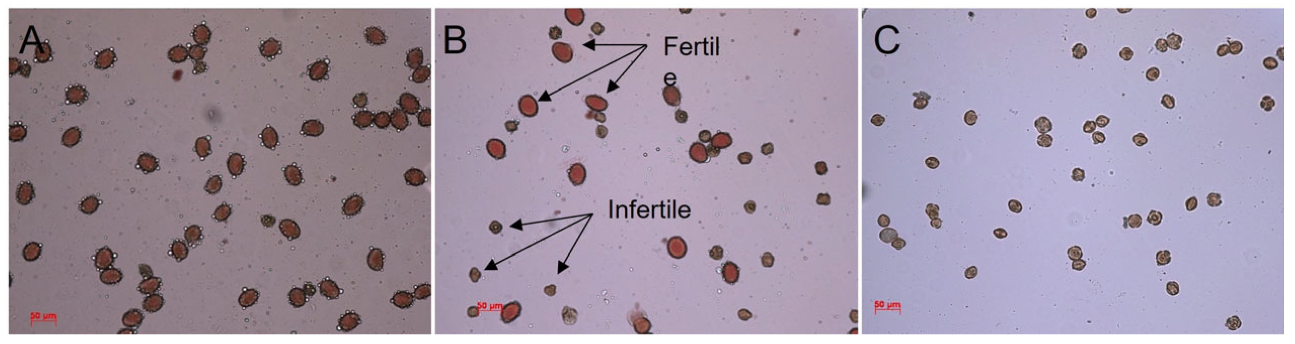 Agronomy 12 02843 g005