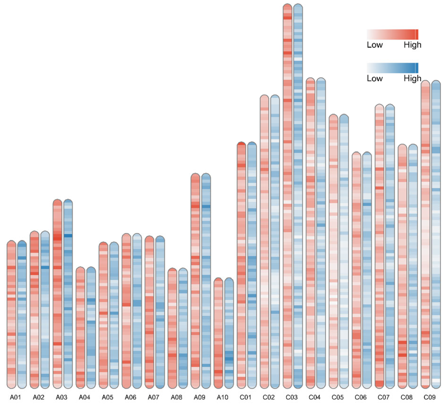 Agronomy 12 02843 g008