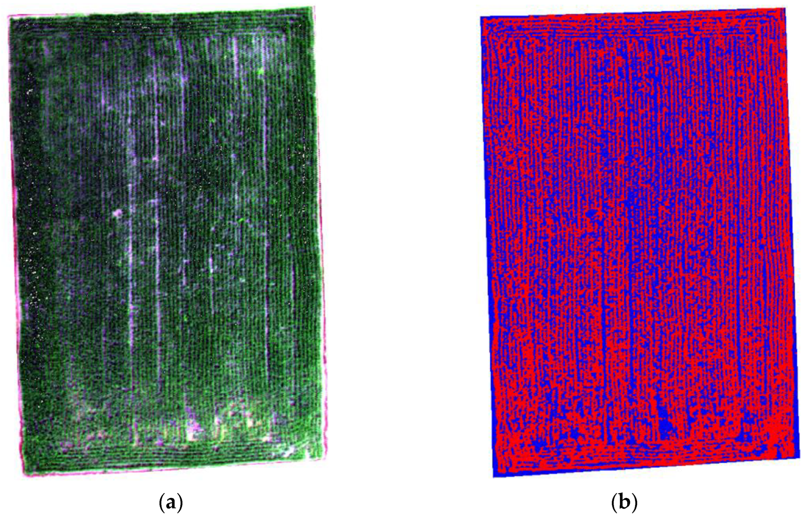 Agronomy 12 02893 g003
