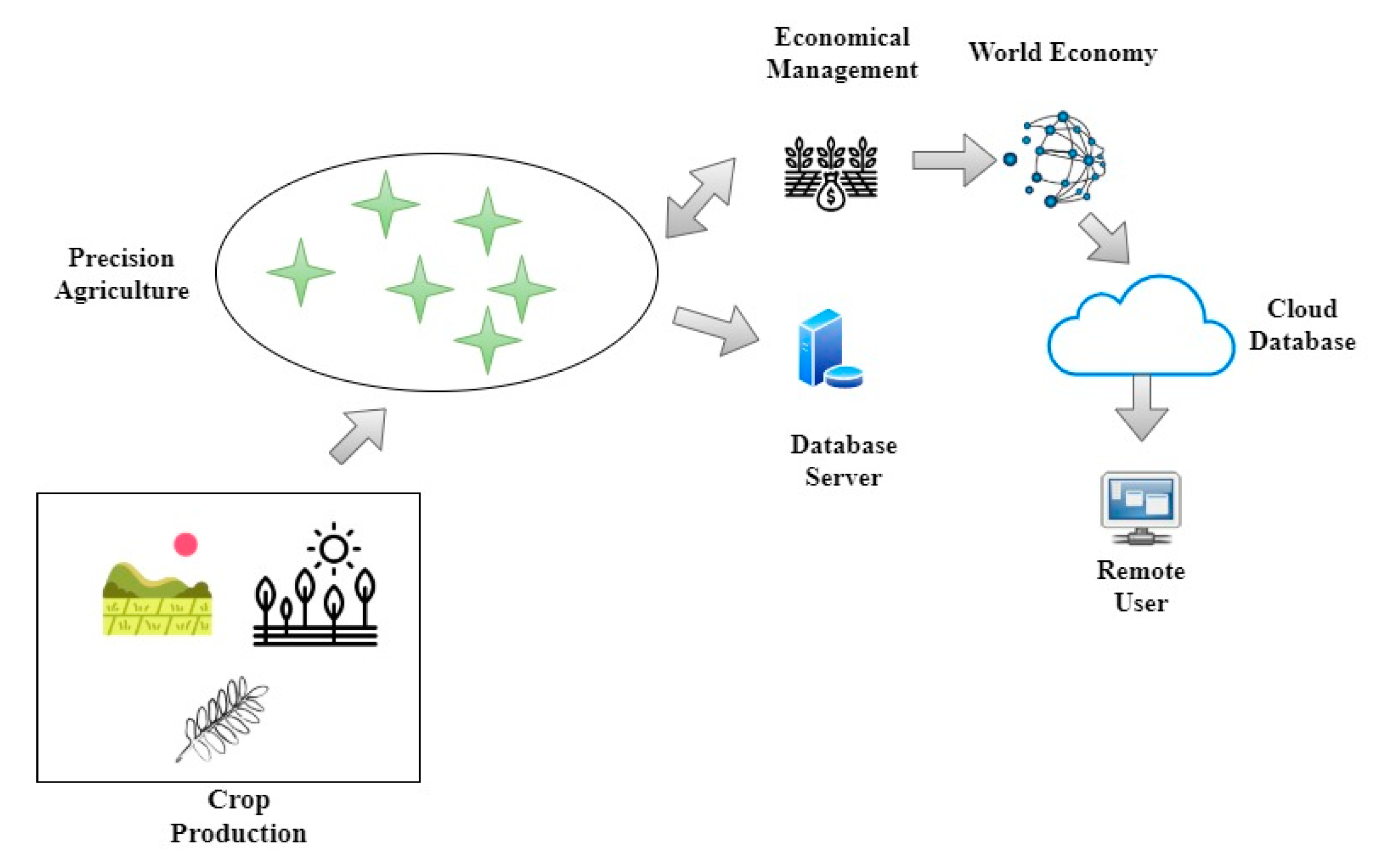 Agronomy 12 02905 g003
