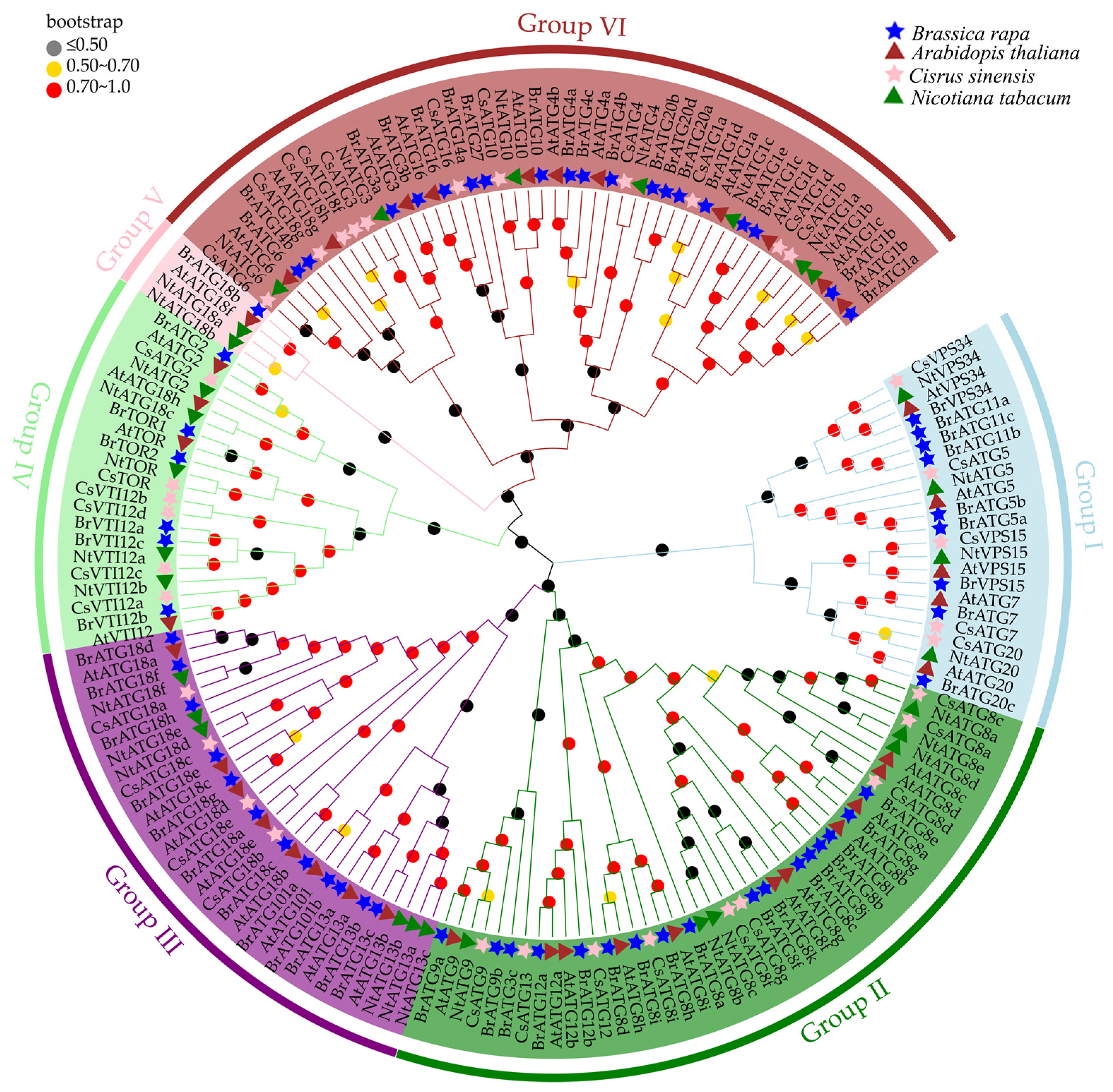 Agronomy 12 02976 g001
