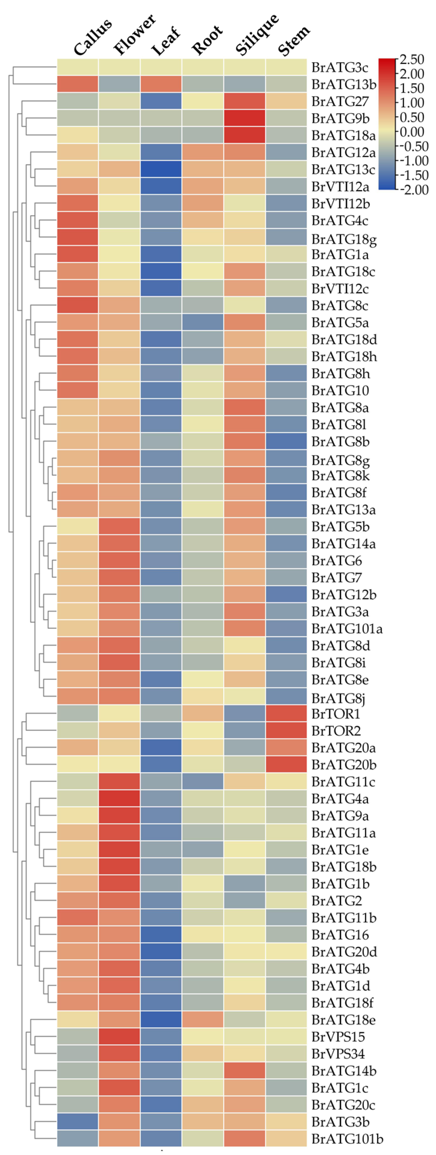 Agronomy 12 02976 g006