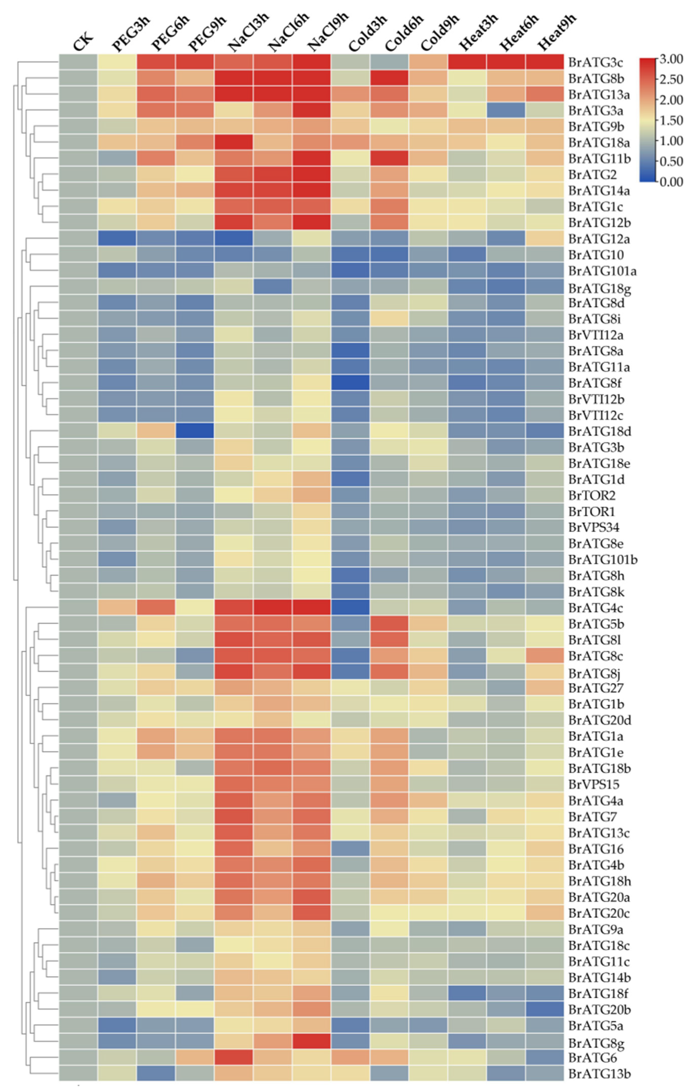 Agronomy 12 02976 g008