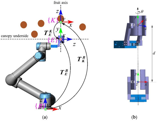 Agronomy | Free Full-Text | A Method of Grasping Detection for ...