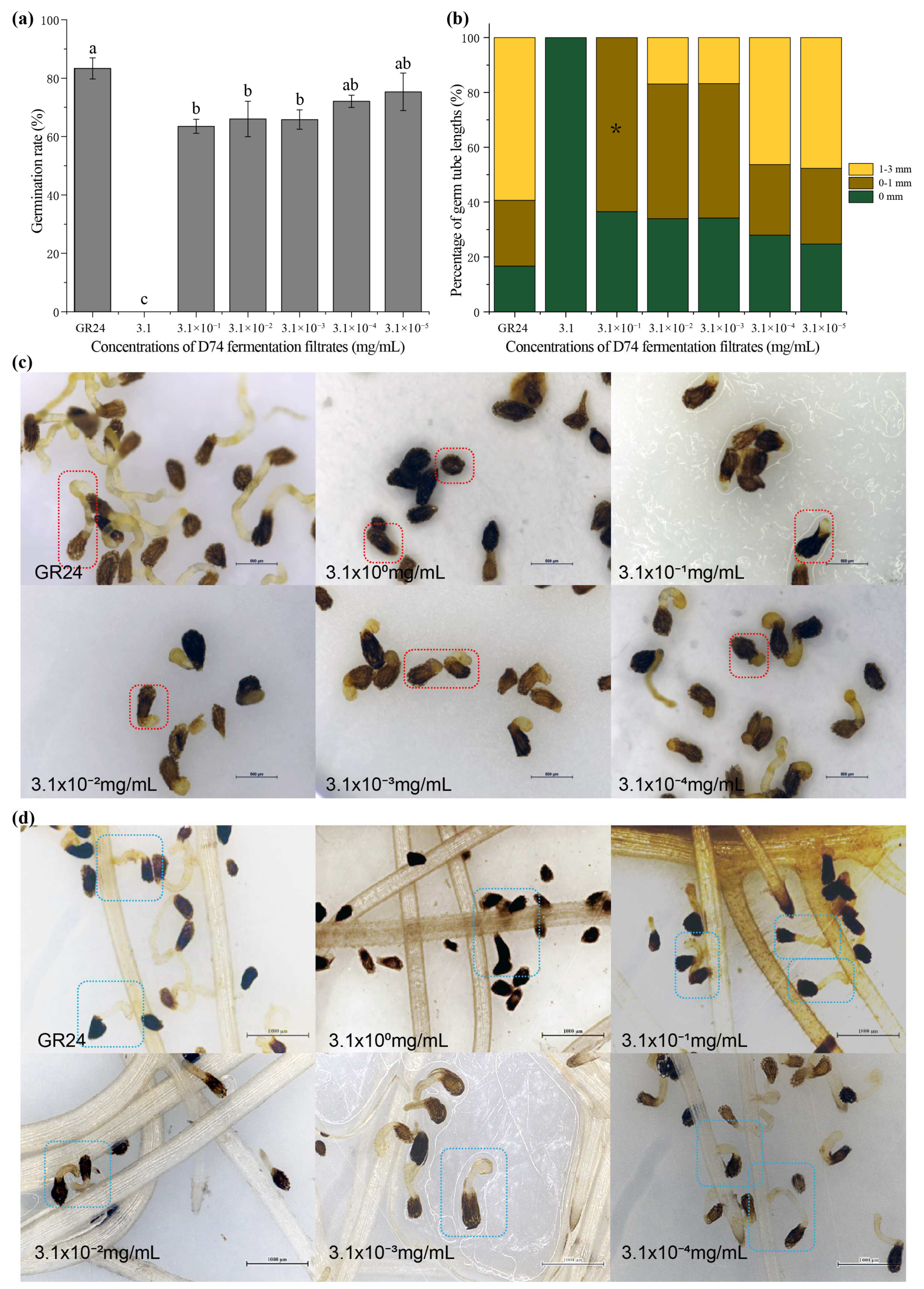 Agronomy 12 03129 g001 Agronomy 12 03129 g001