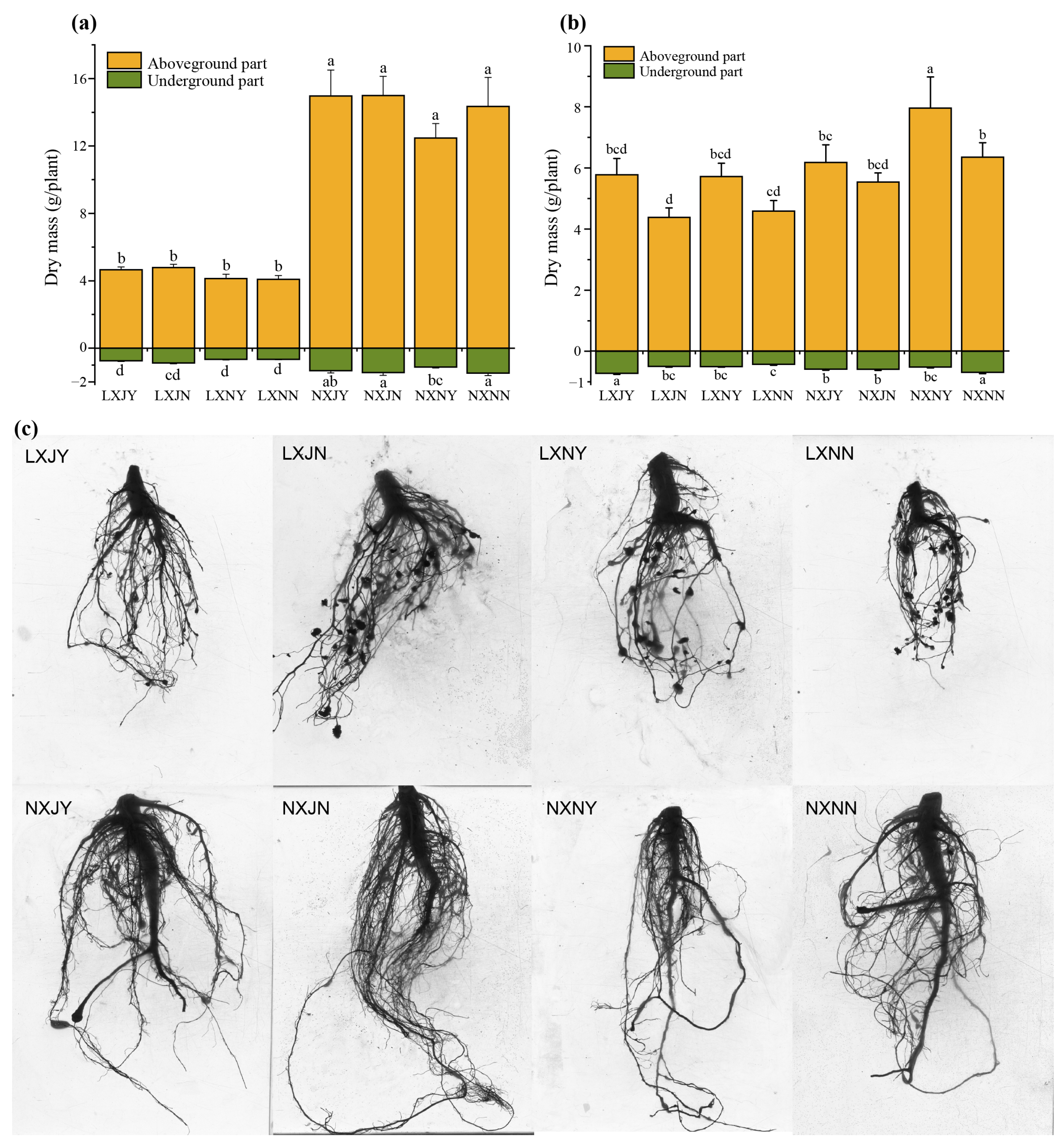 Agronomy 12 03129 g002 Agronomy 12 03129 g002